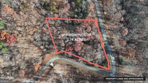 Lot 196 Springwinds Drive Cleveland GA 30528