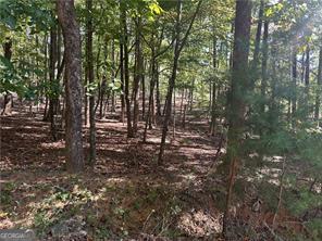 LT1351 Willow Terrace Jasper GA 30143