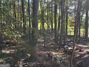 LT1351 Willow Terrace Jasper GA 30143