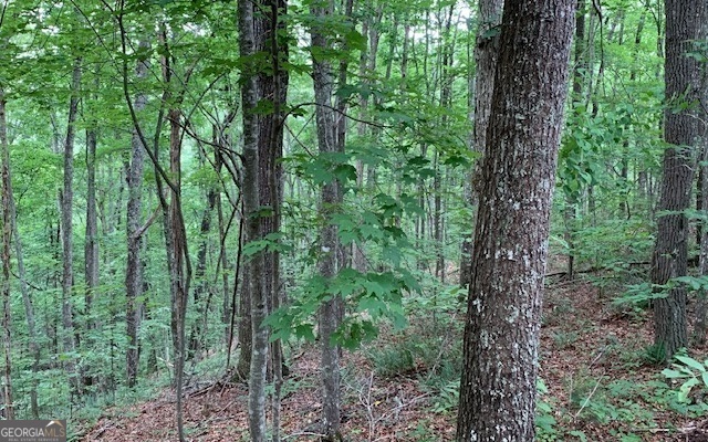Lot 18 Bruce Mountain Blairsville GA 30512