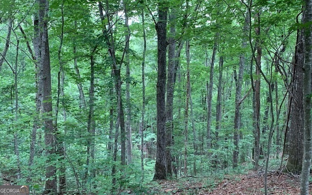 Lot 18 Bruce Mountain Blairsville GA 30512