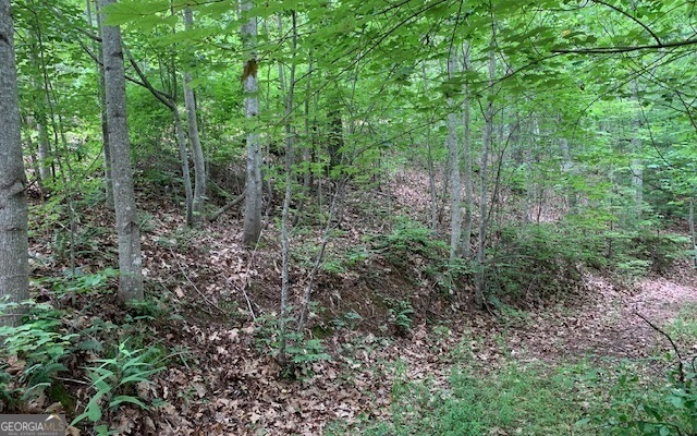Lot 18 Bruce Mountain Blairsville GA 30512