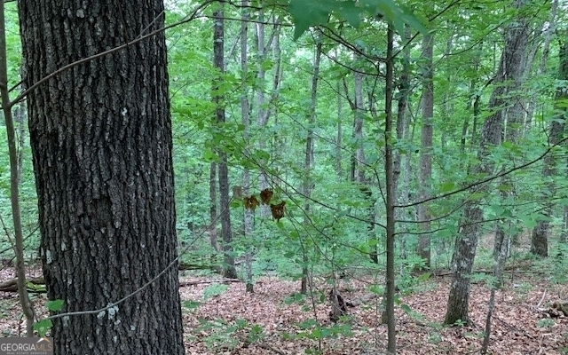 Lot 18 Bruce Mountain Blairsville GA 30512