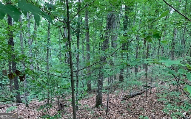 Lot 18 Bruce Mountain Blairsville GA 30512