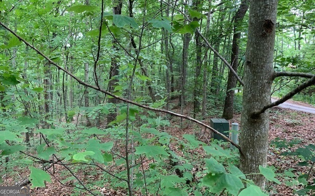 Lot 18 Bruce Mountain Blairsville GA 30512