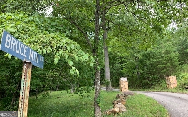 Lot 18 Bruce Mountain Blairsville GA 30512