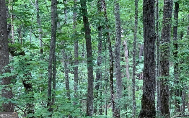 Lot 18 Bruce Mountain Blairsville GA 30512