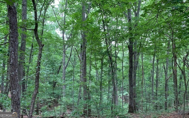 Lot 18 Bruce Mountain Blairsville GA 30512