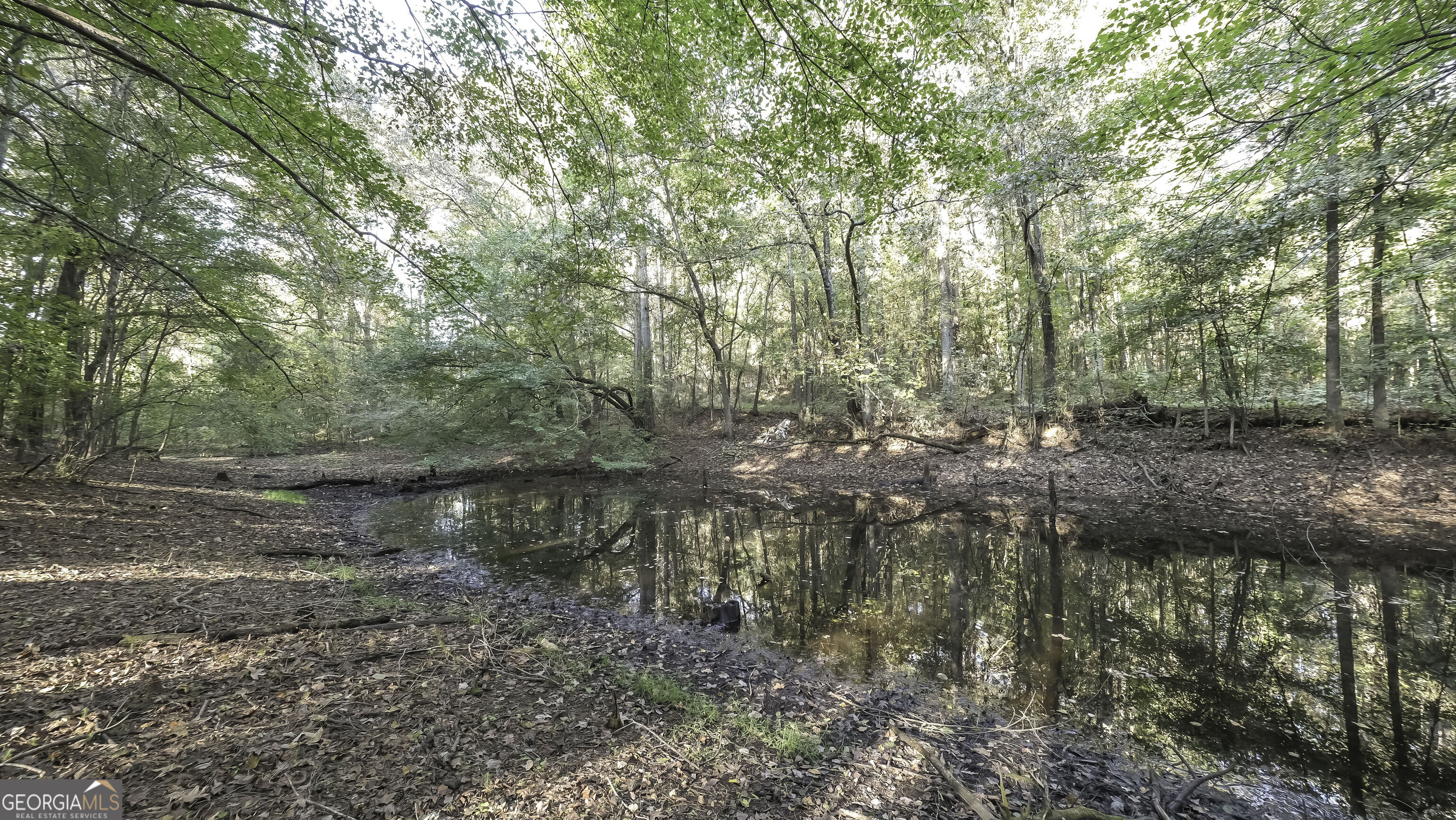 0 Daniel Road Tallapoosa GA 30176
