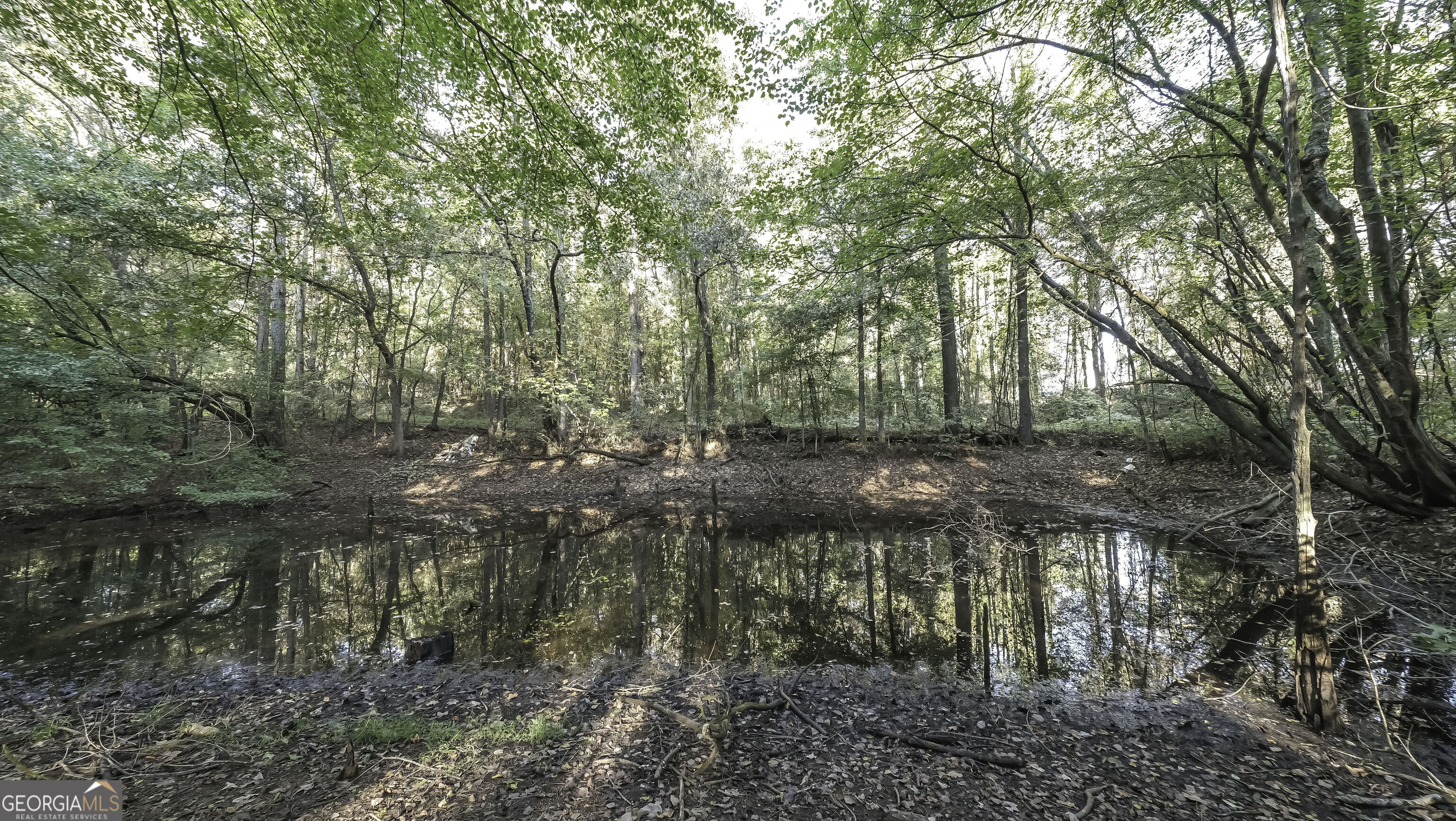 0 Daniel Road Tallapoosa GA 30176