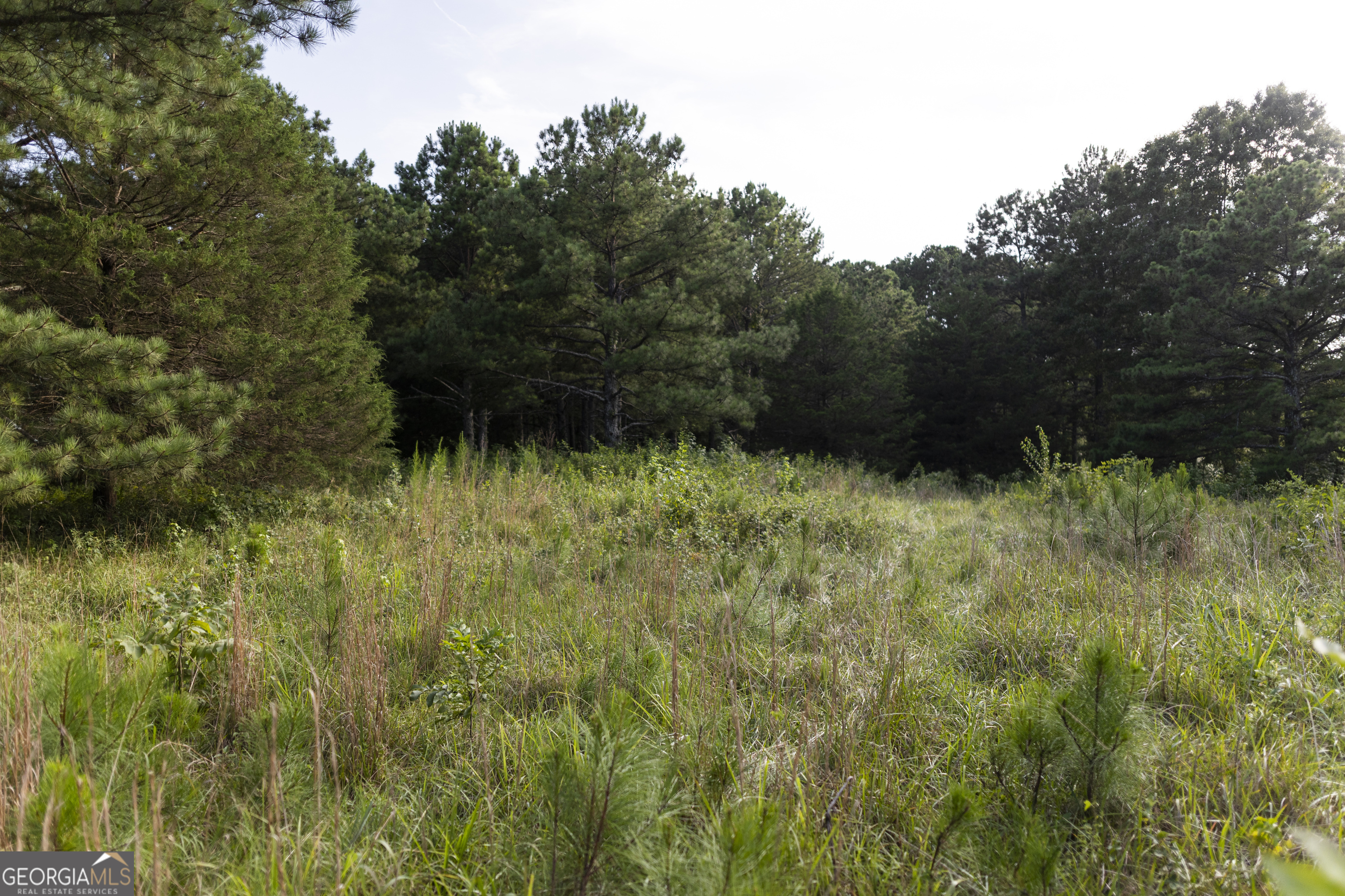 1870 Double Springs Church Road Monroe GA 30656