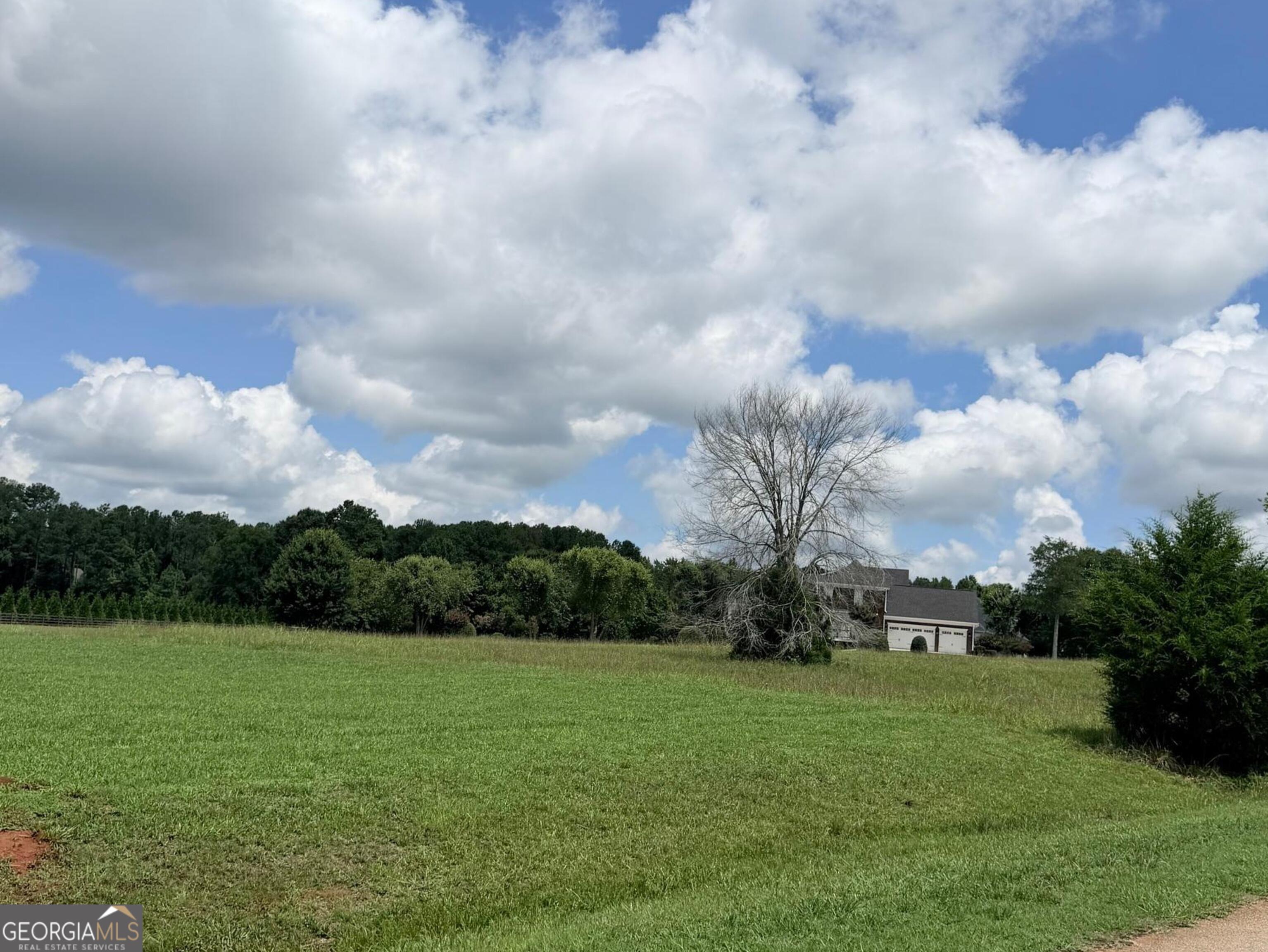 15 Meadow View Court Social Circle GA 30025