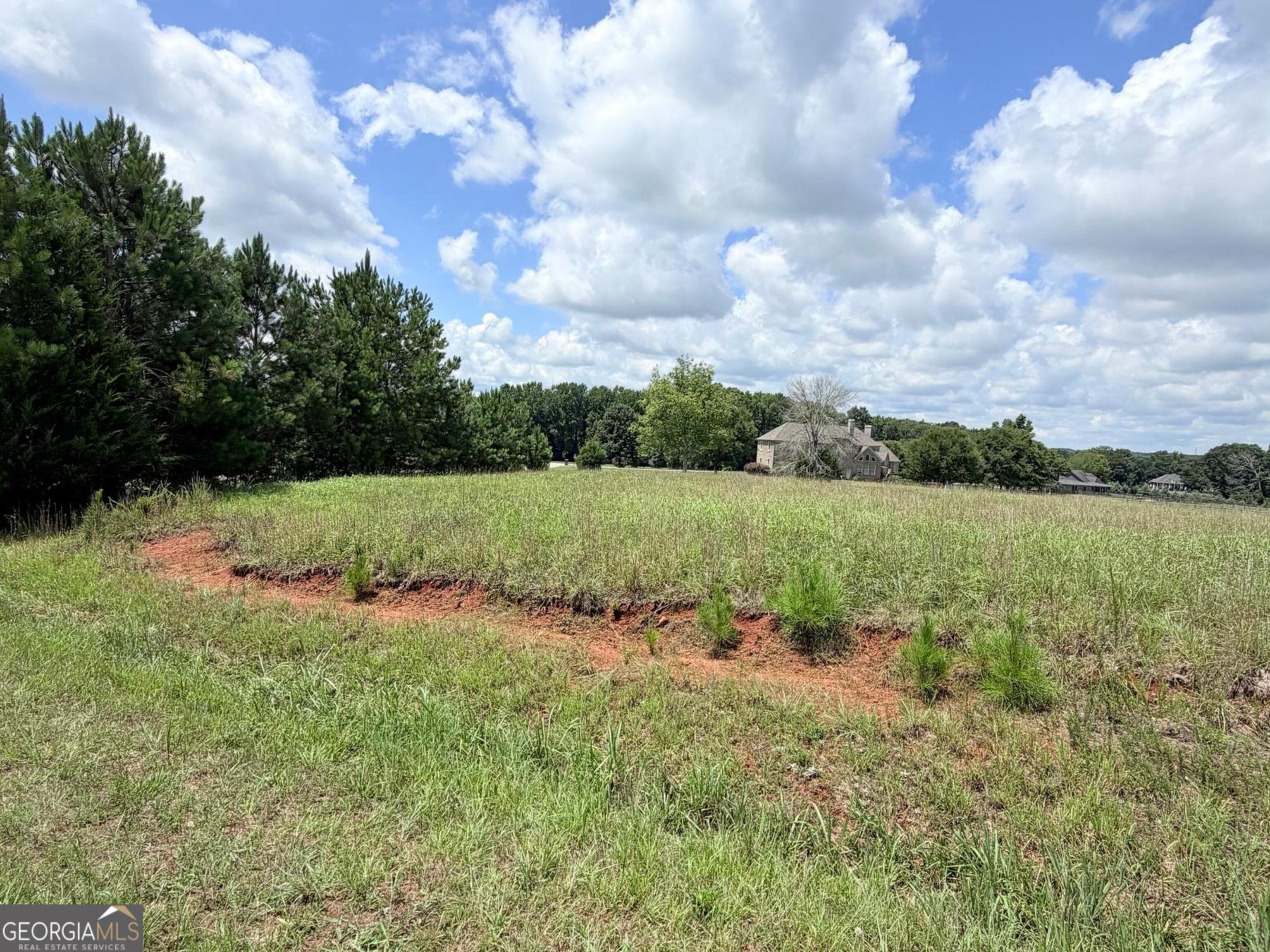 15 Meadow View Court Social Circle GA 30025