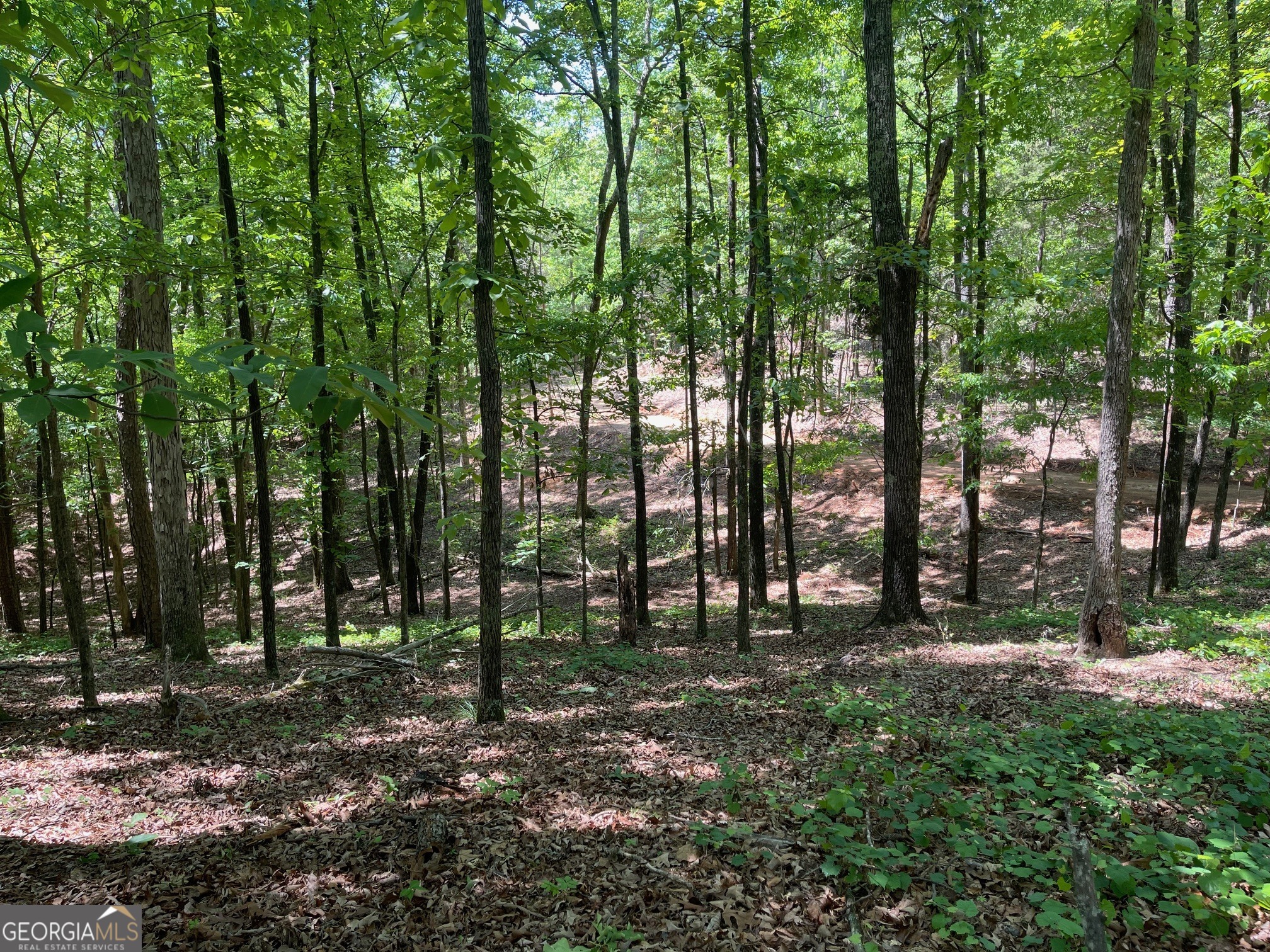 Lot 13 Chalcrest Way Cave Spring GA 30124
