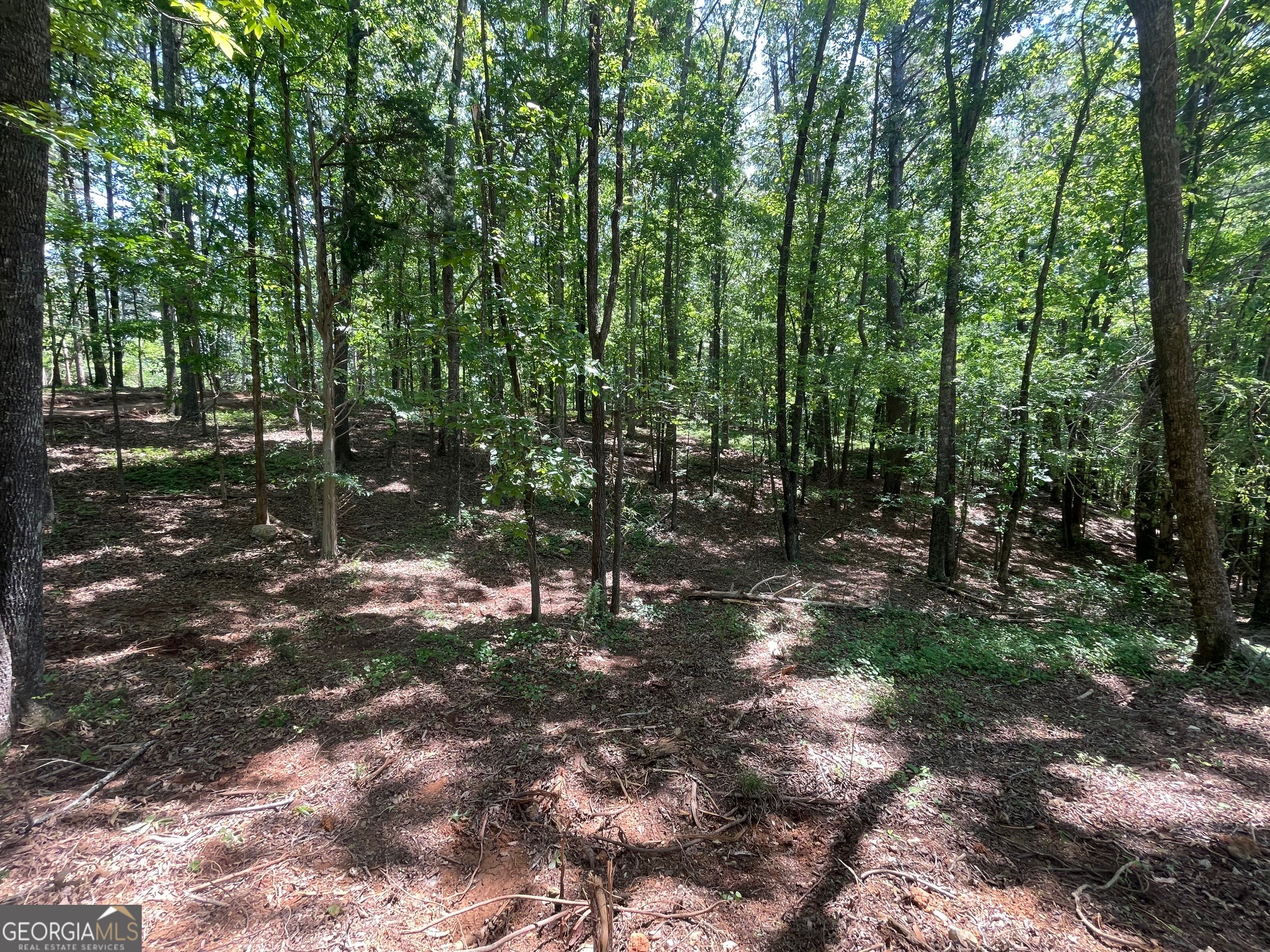 Lot 13 Chalcrest Way Cave Spring GA 30124