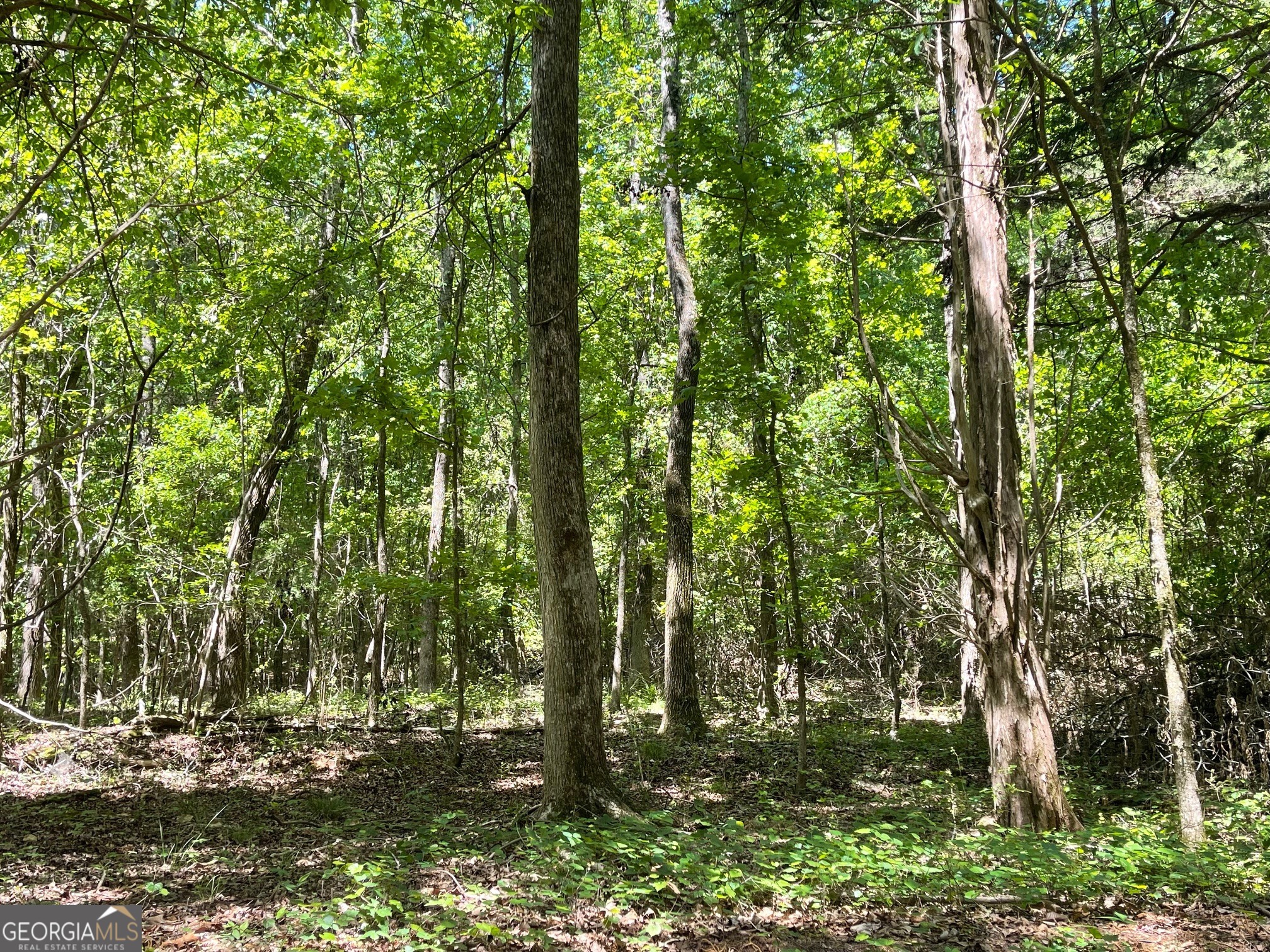 Lot 13 Chalcrest Way Cave Spring GA 30124