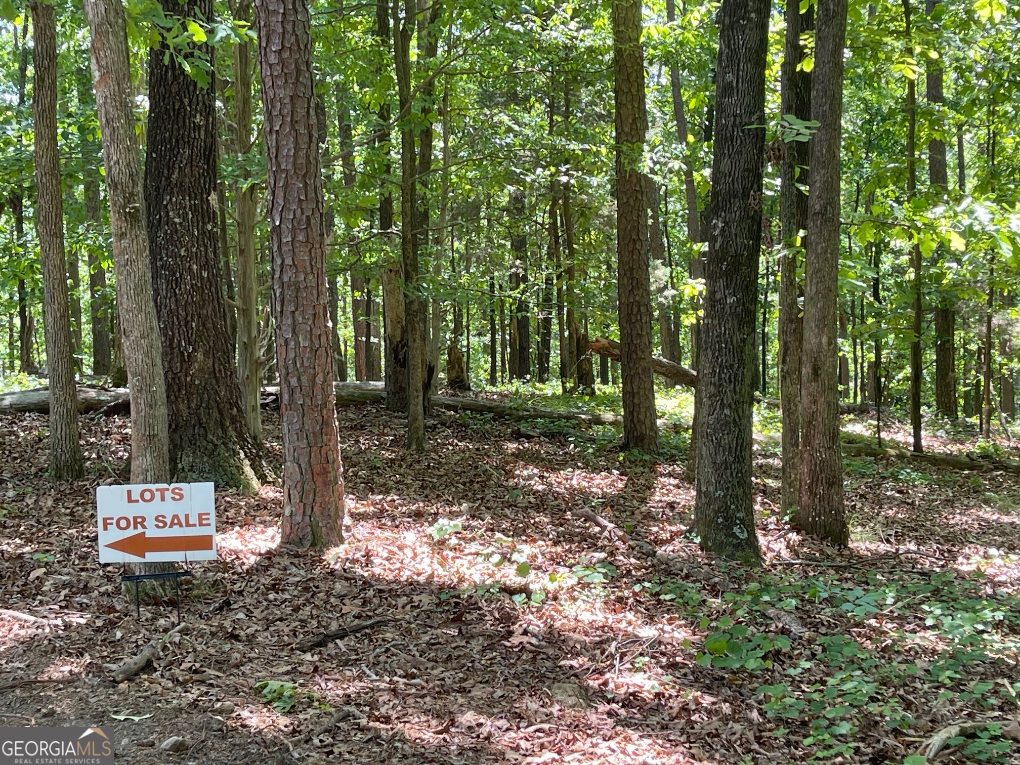 Lot 13 Chalcrest Way Cave Spring GA 30124