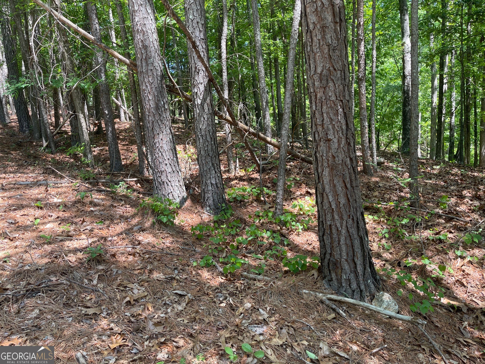 Lot 13 Chalcrest Way Cave Spring GA 30124