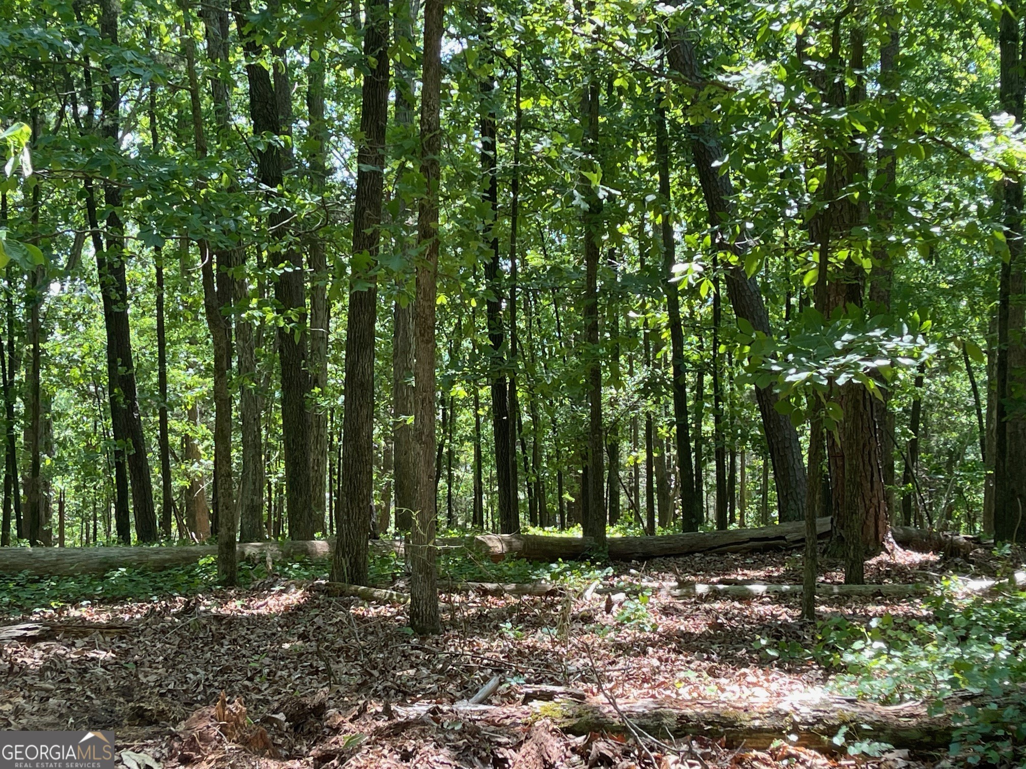 Lot 13 Chalcrest Way Cave Spring GA 30124
