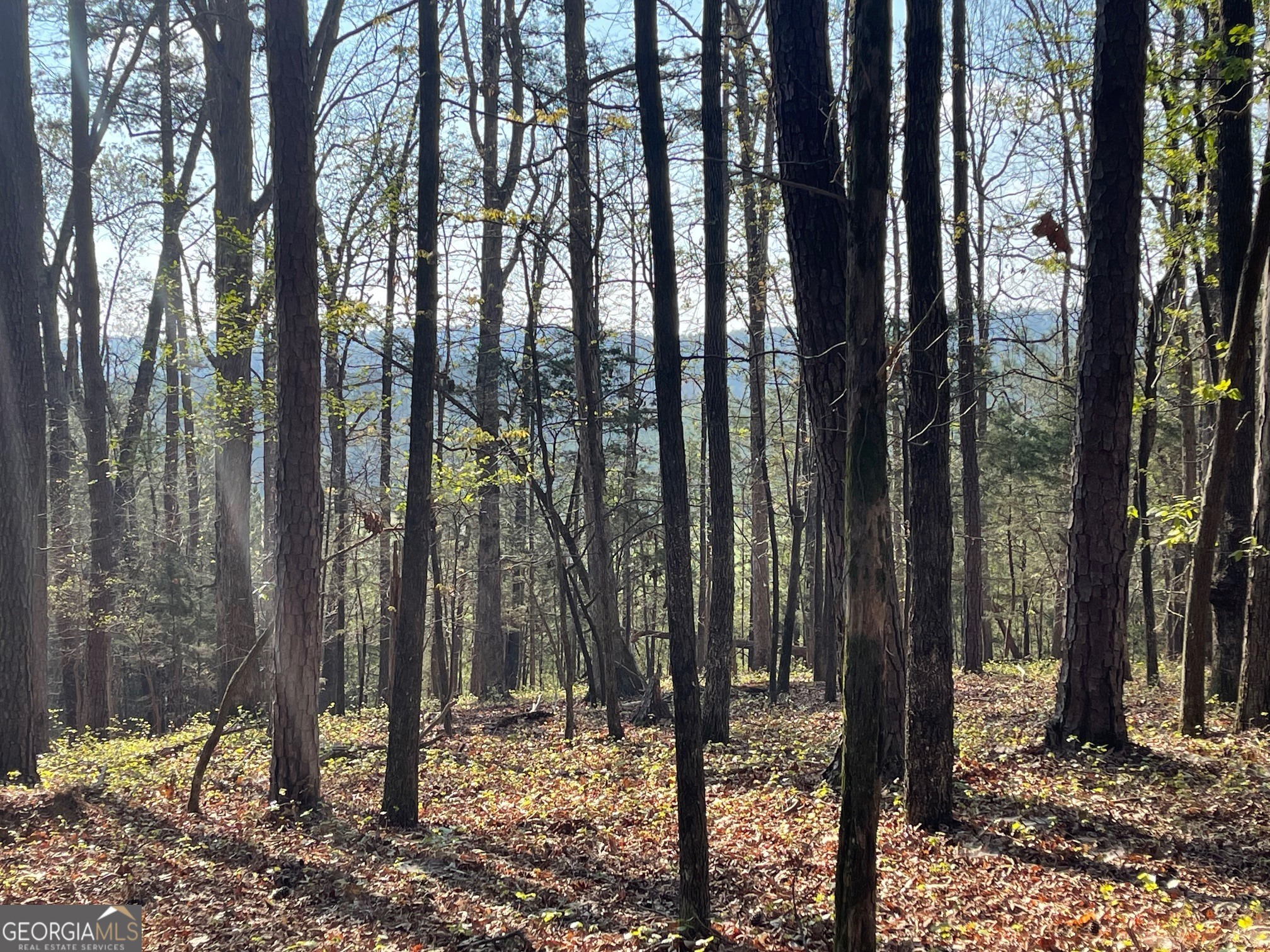 Lot 13 Chalcrest Way Cave Spring GA 30124