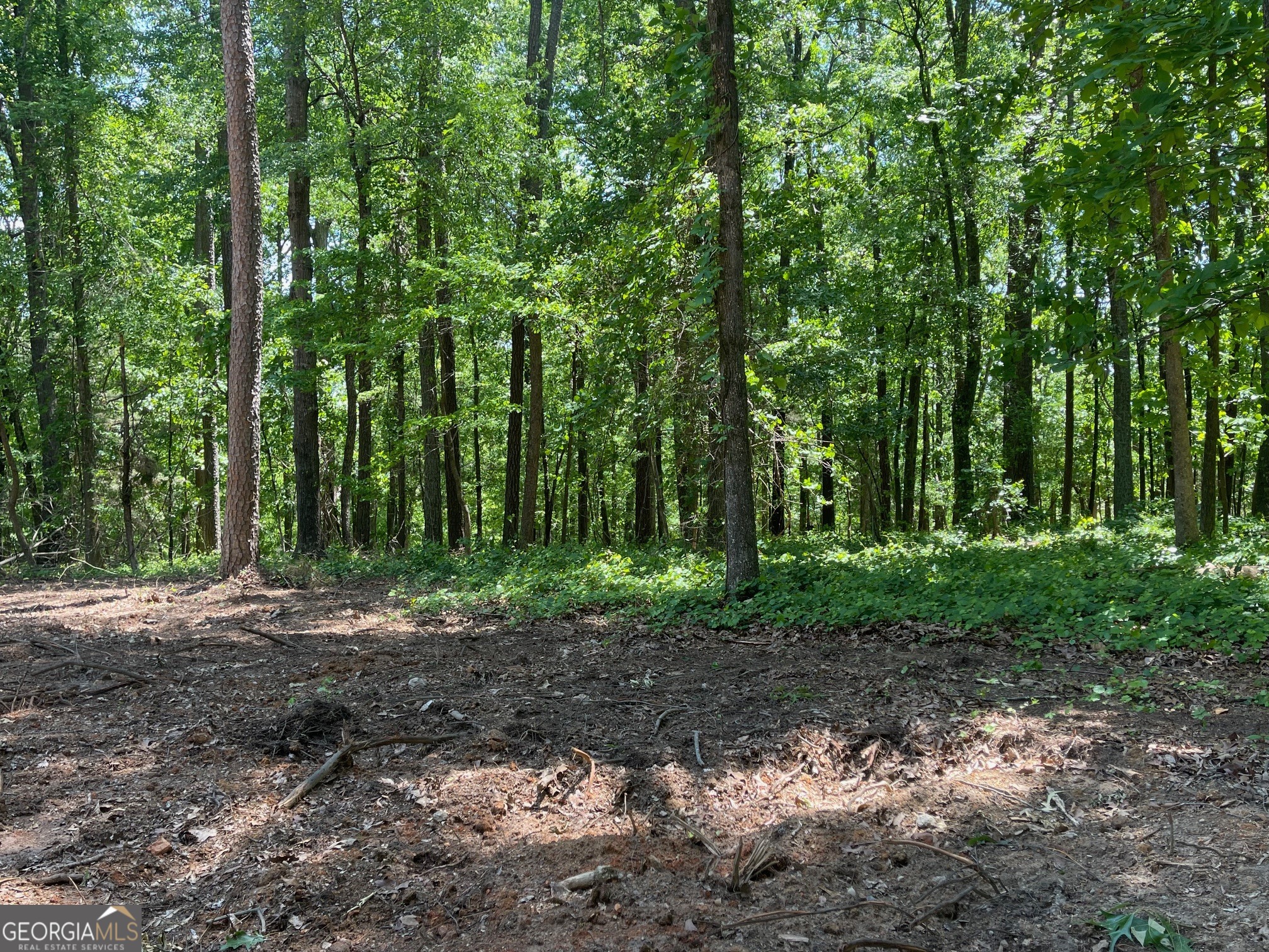 Lot 13 Chalcrest Way Cave Spring GA 30124