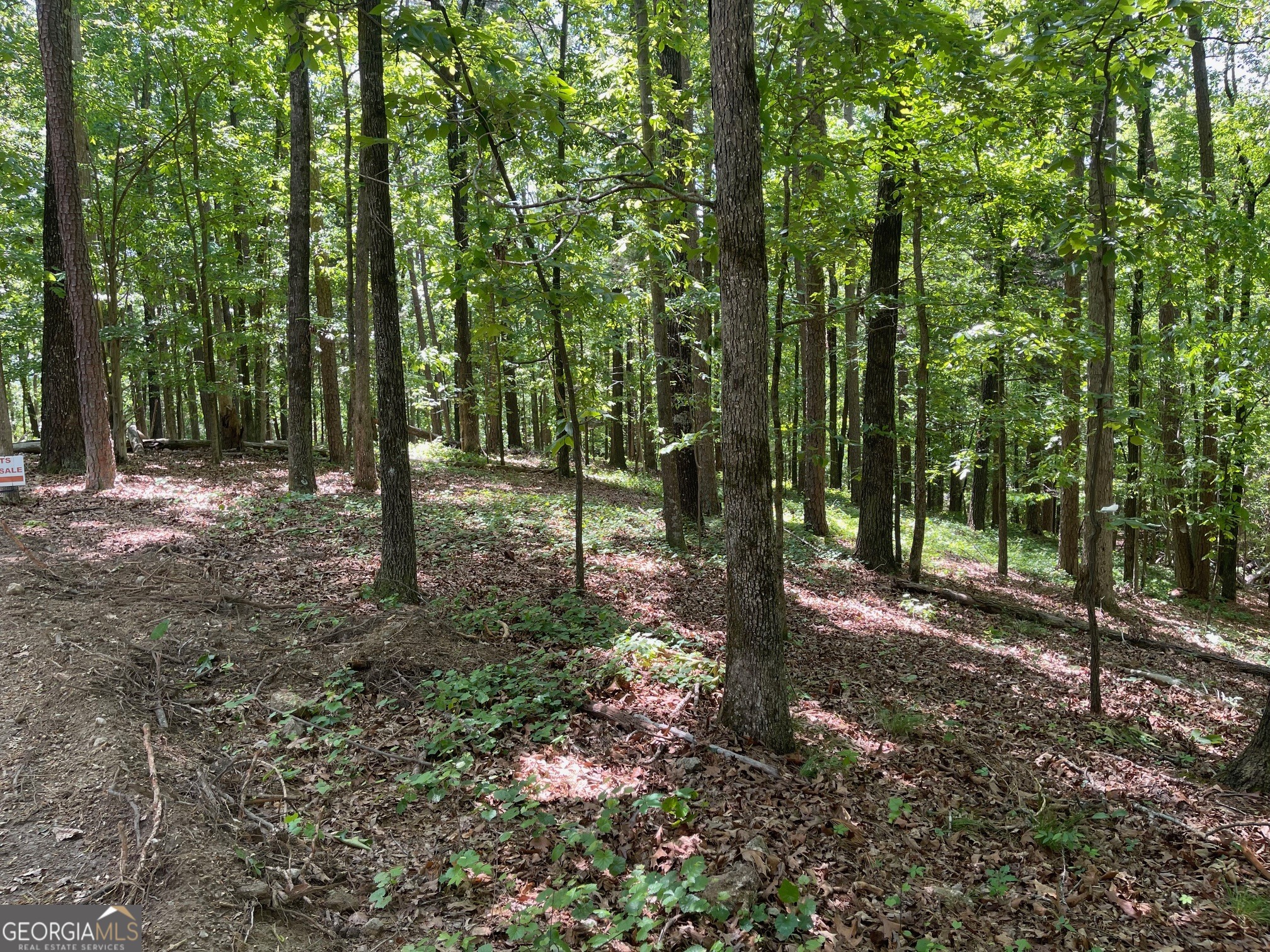 Lot 13 Chalcrest Way Cave Spring GA 30124