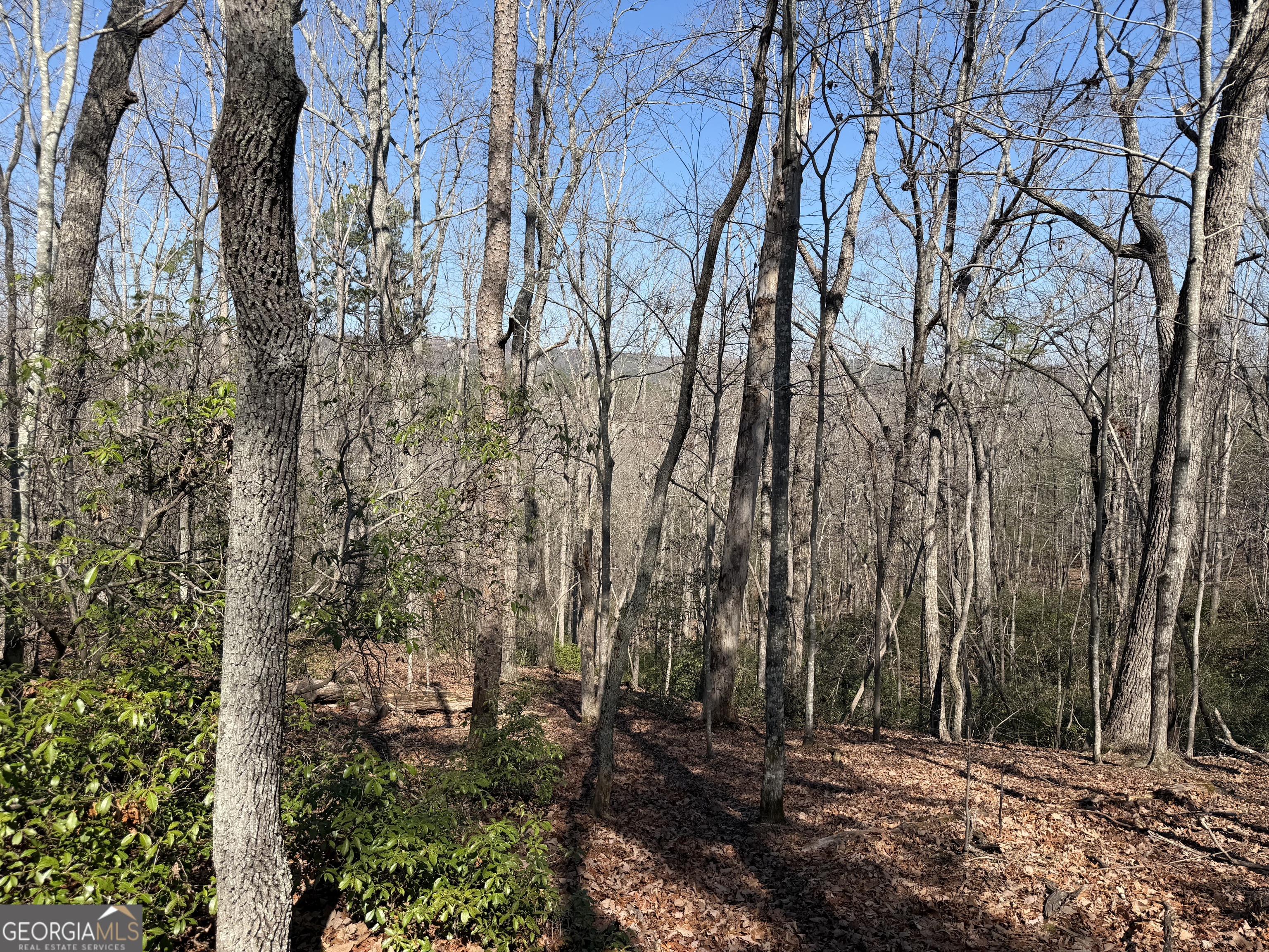 0 Tanager Trail Alto GA 30510