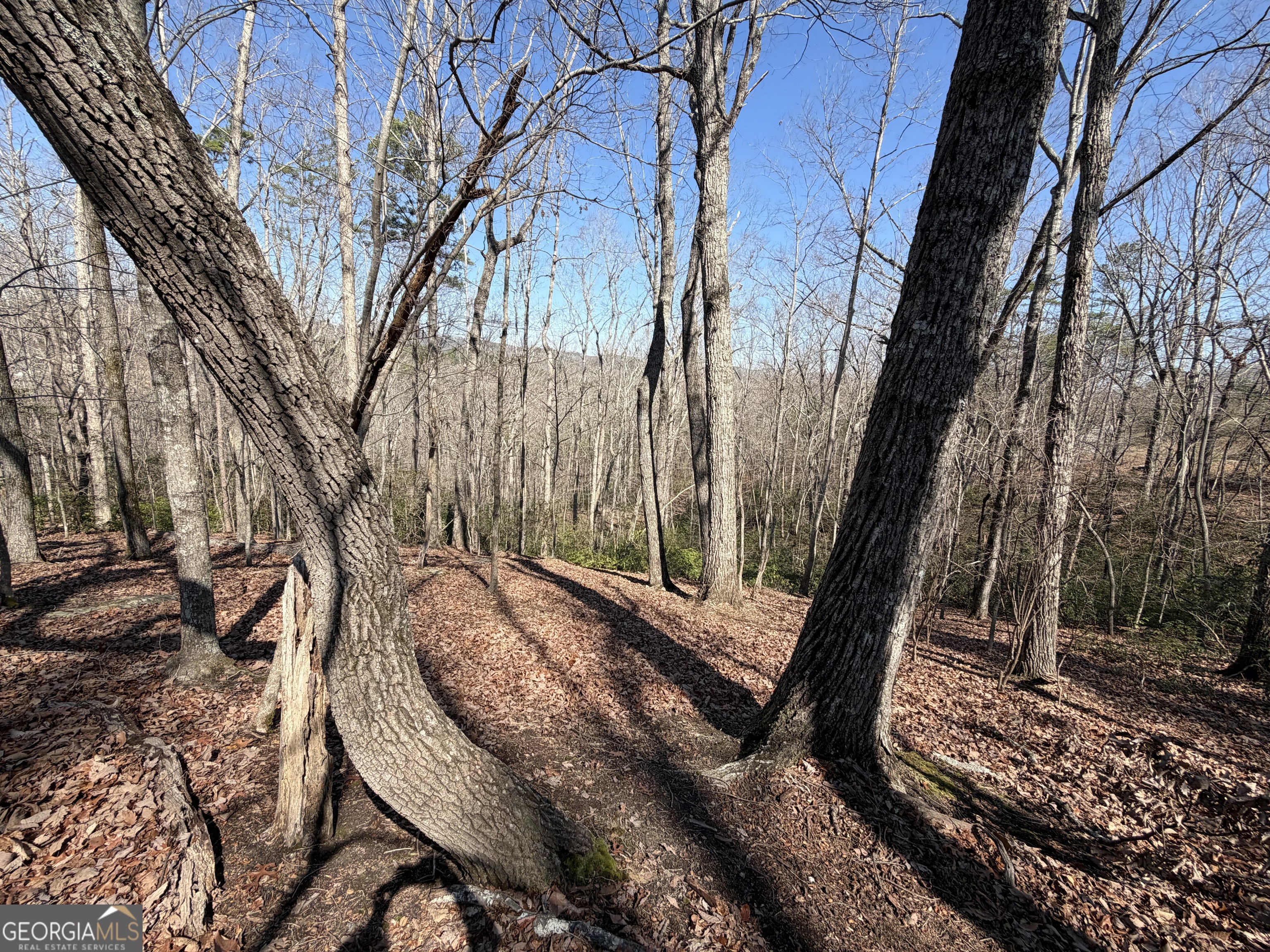 0 Tanager Trail Alto GA 30510
