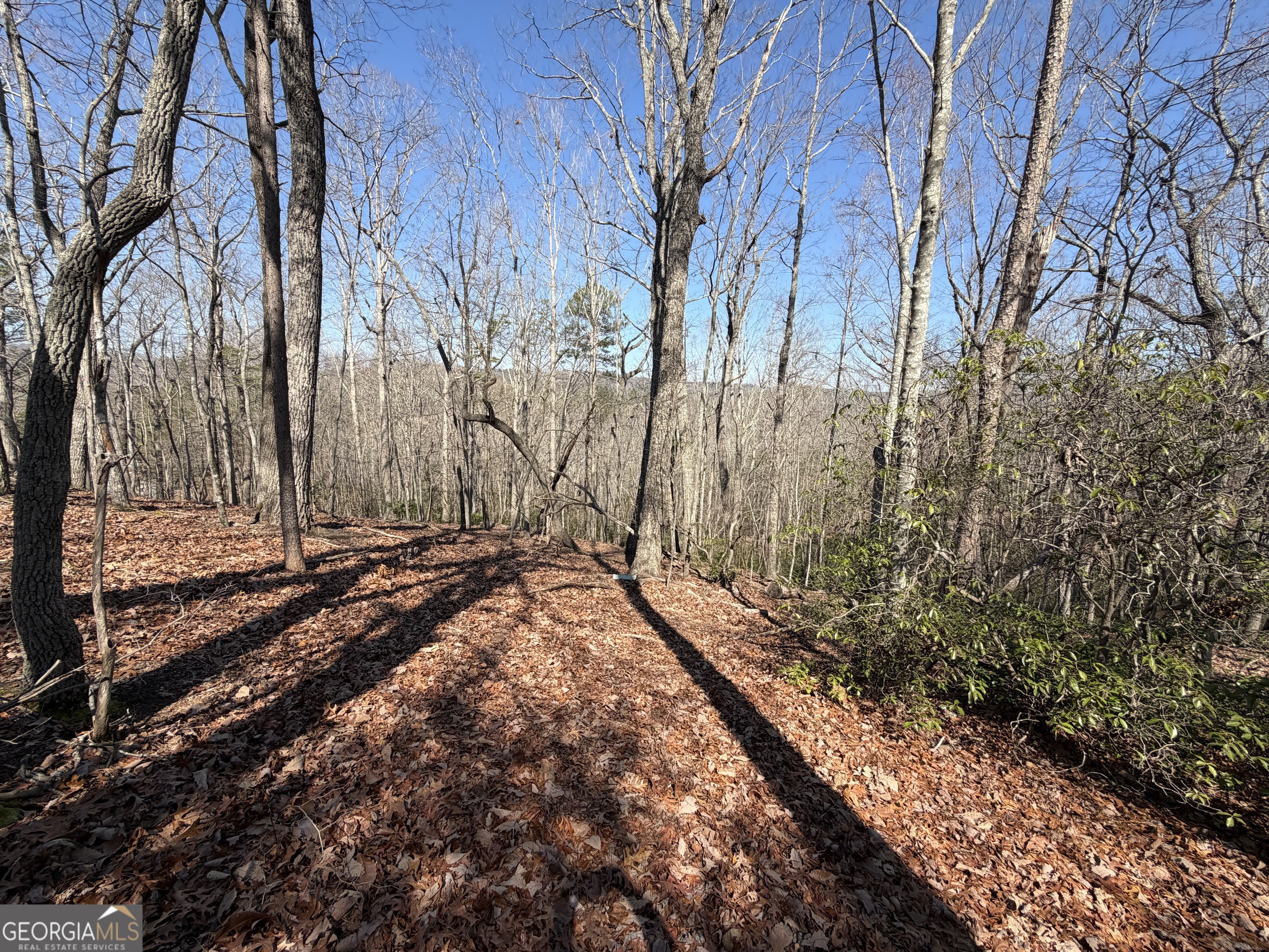 0 Tanager Trail Alto GA 30510