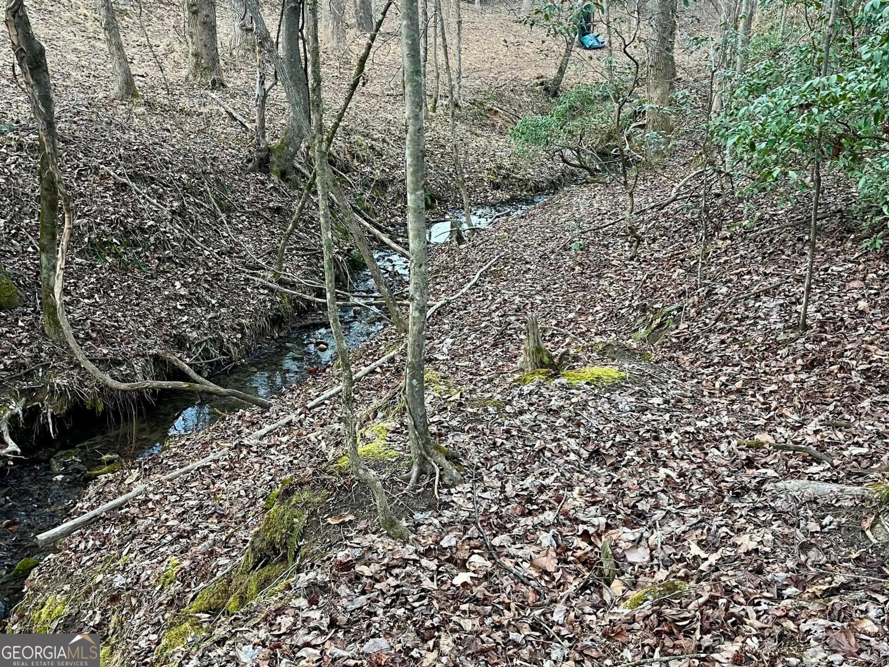 0 Tanager Trail Alto GA 30510