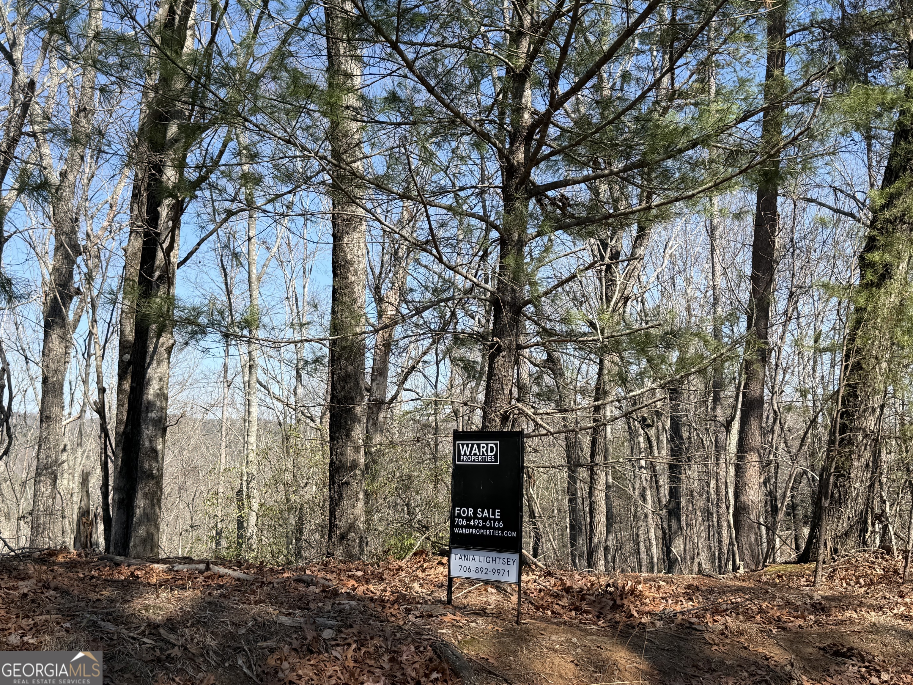 0 Tanager Trail Alto GA 30510