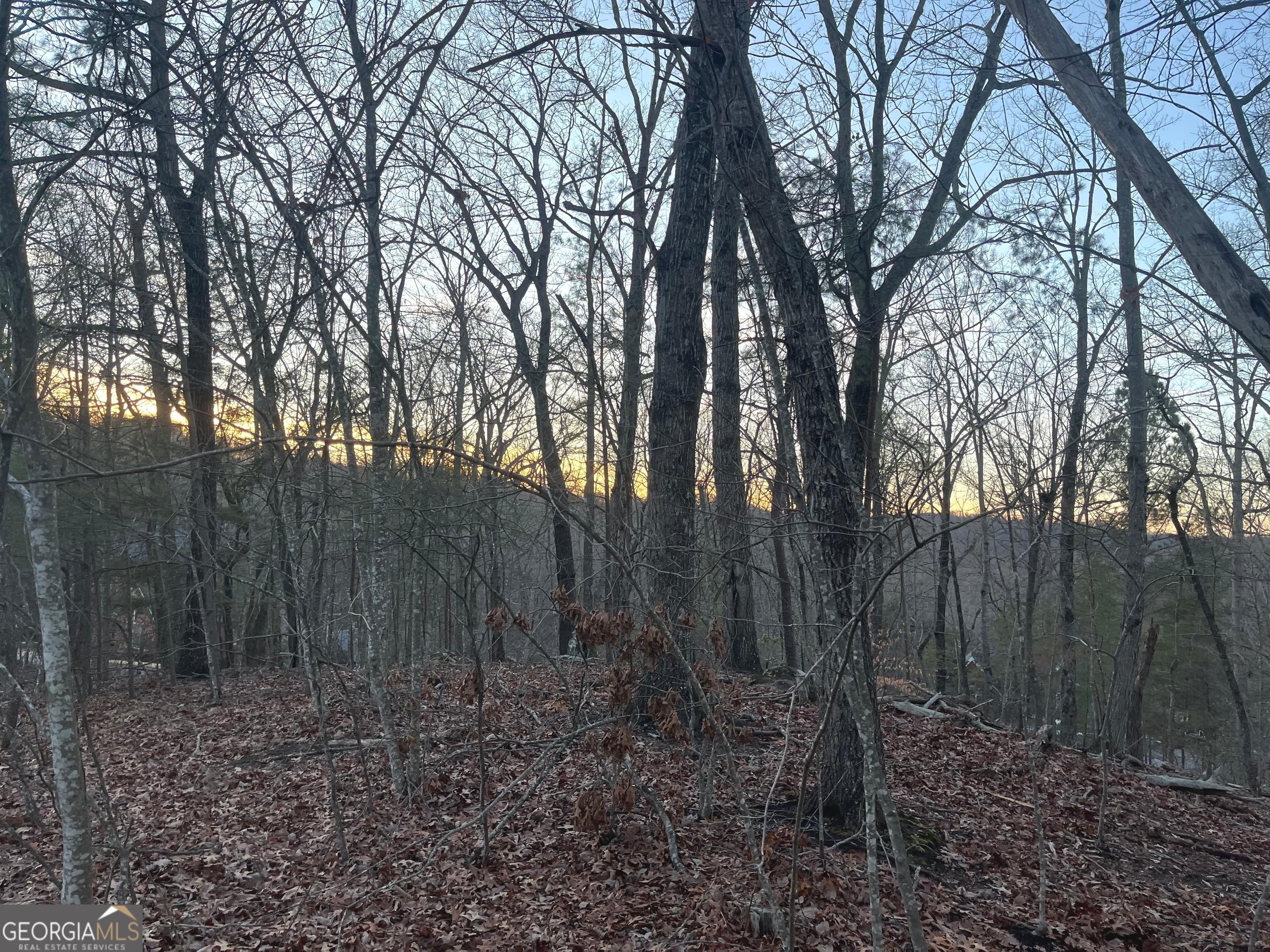 0 Tanager Trail Alto GA 30510