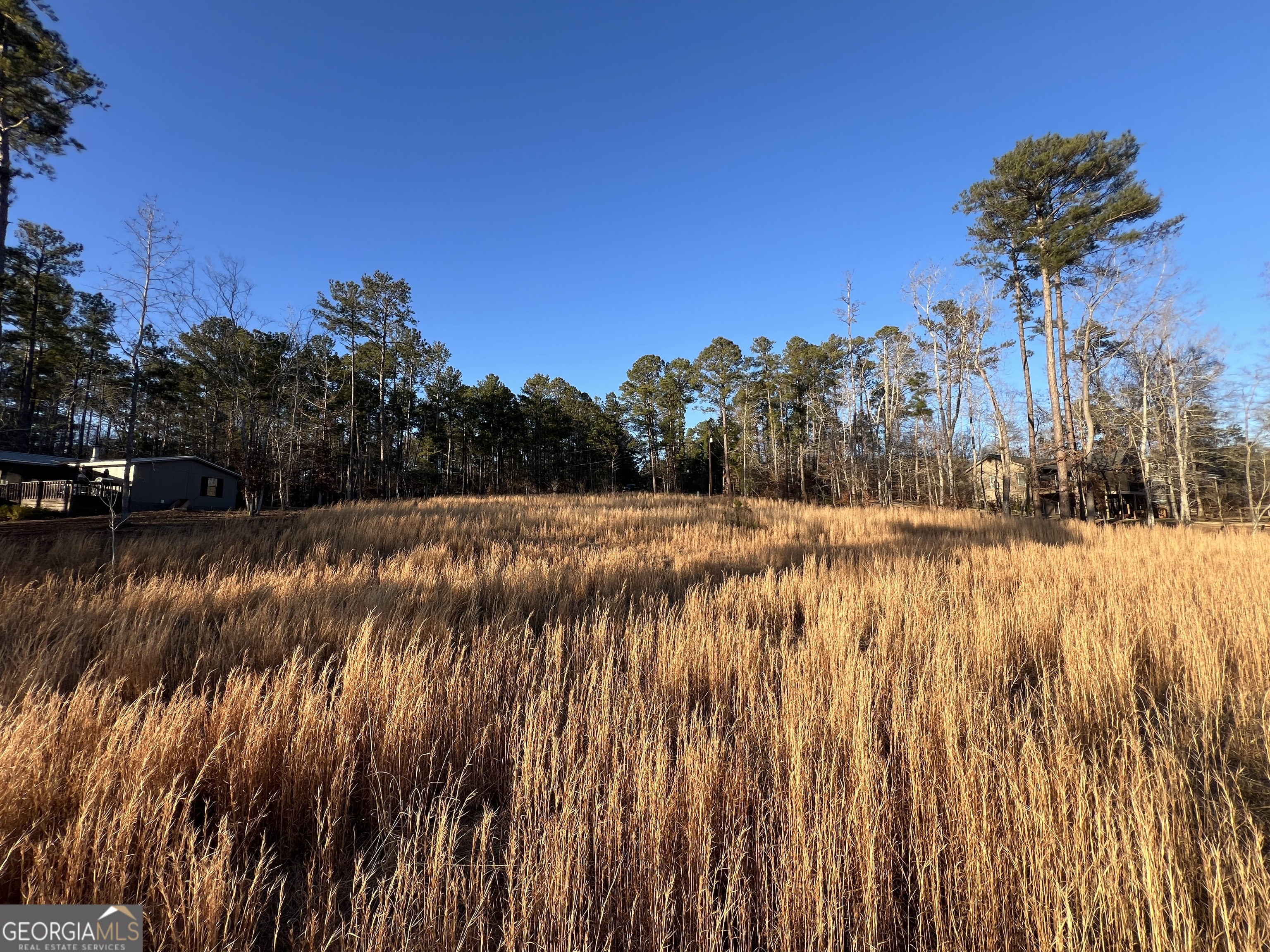 Lot 4 Sugar Bear Road Sparta GA 31087