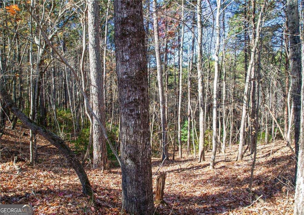 Lot 26 Waldrip Road Dawsonville GA 30534