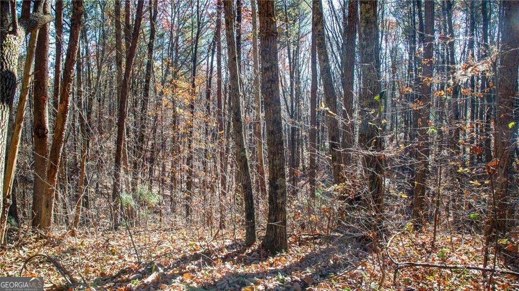 Lot 26 Waldrip Road Dawsonville GA 30534