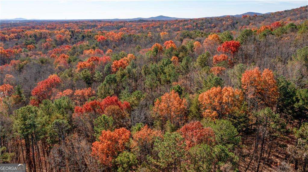 Lot 26 Waldrip Road Dawsonville GA 30534