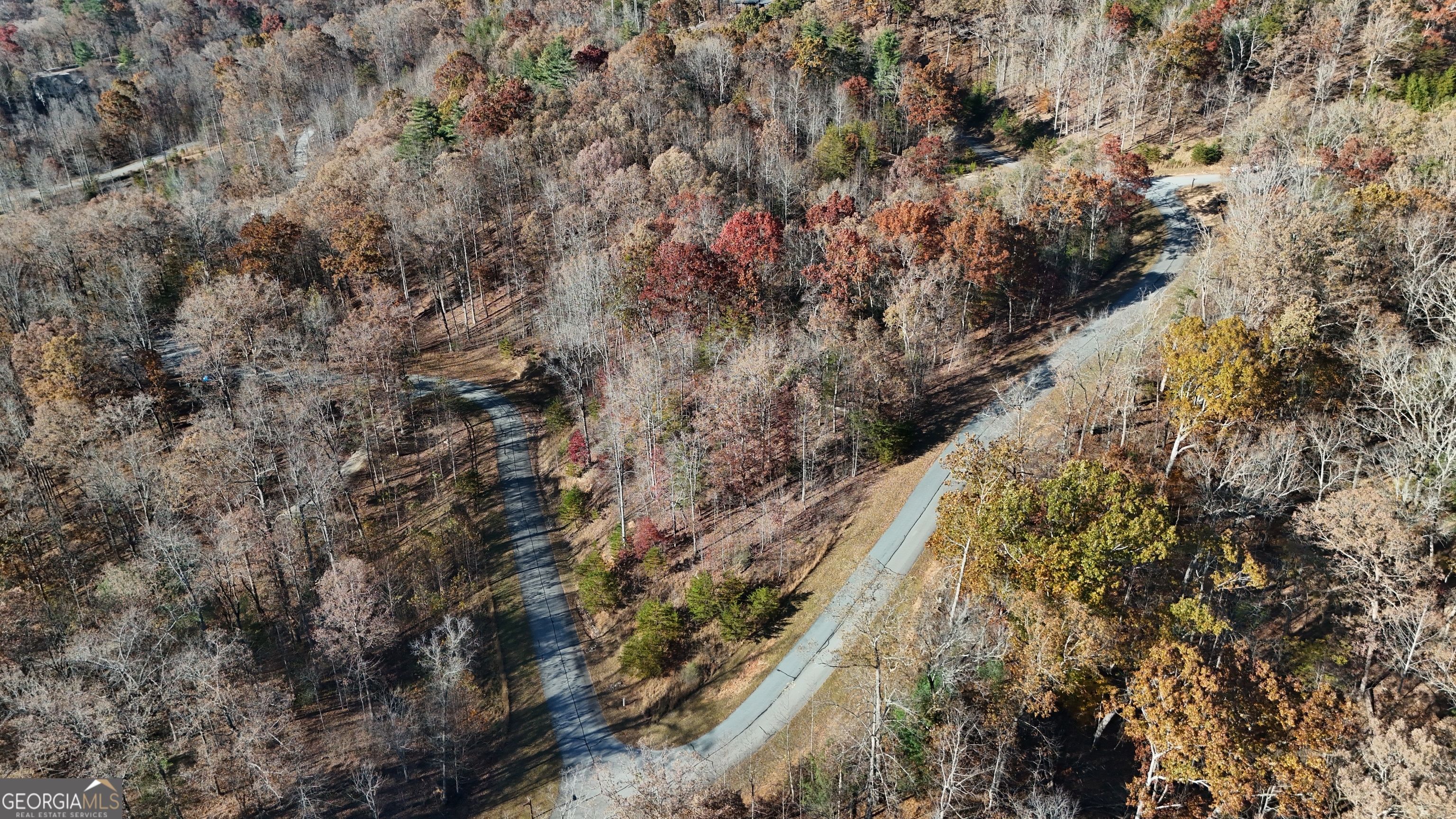 Lot 196 Springwinds Drive Cleveland GA 30528