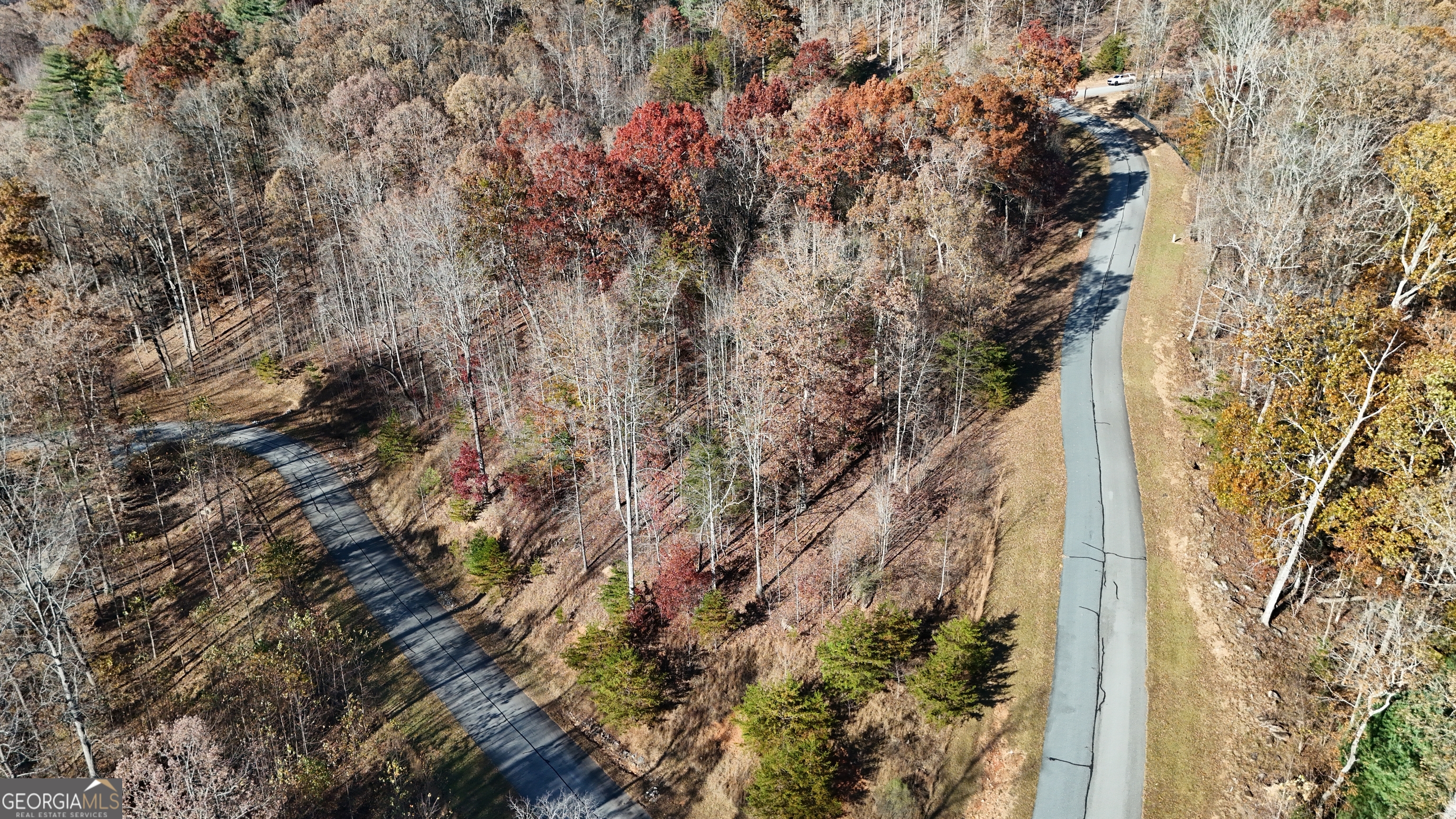 Lot 196 Springwinds Drive Cleveland GA 30528