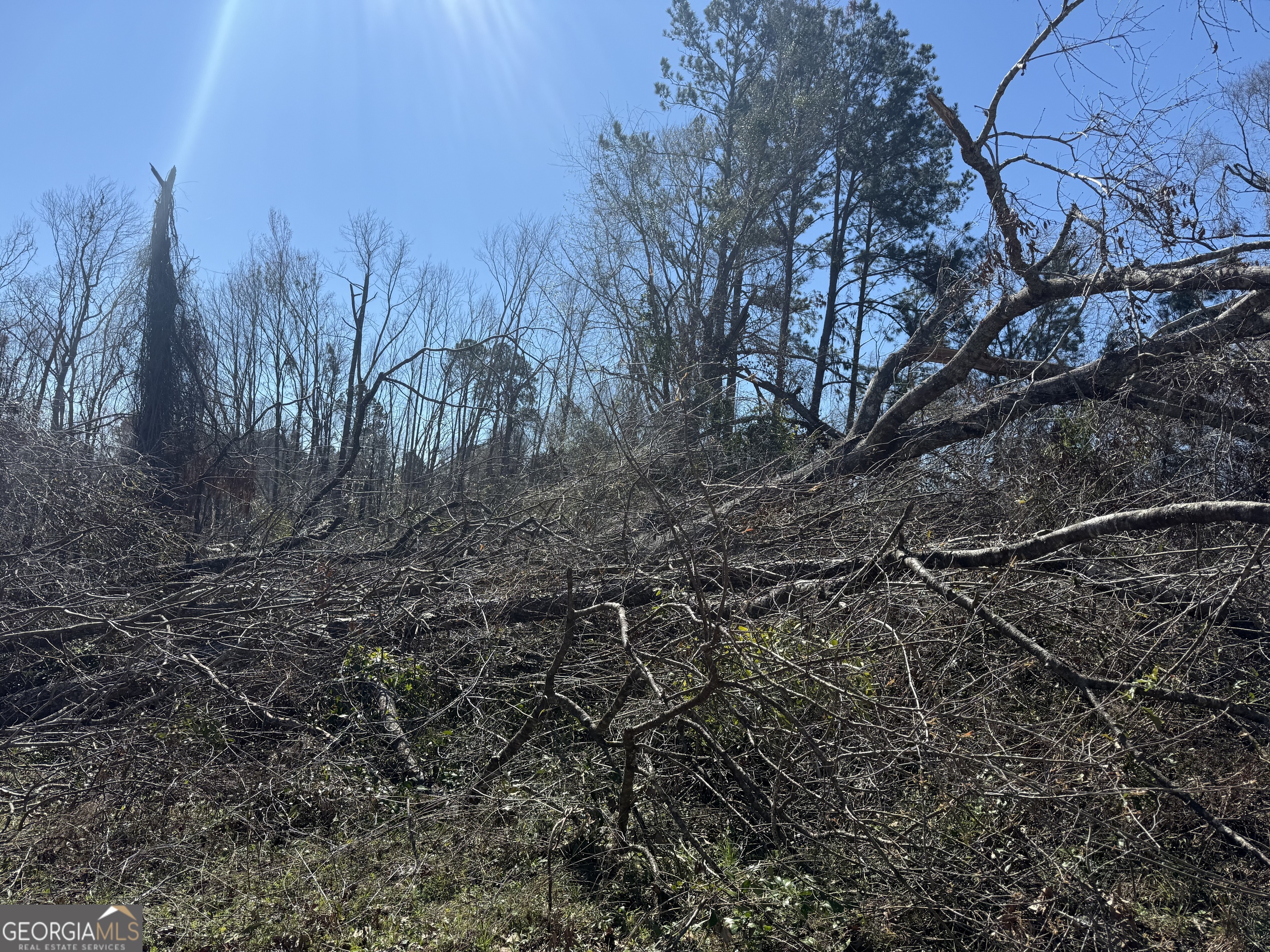 0 Wragler Lane Hazlehurst GA 31539