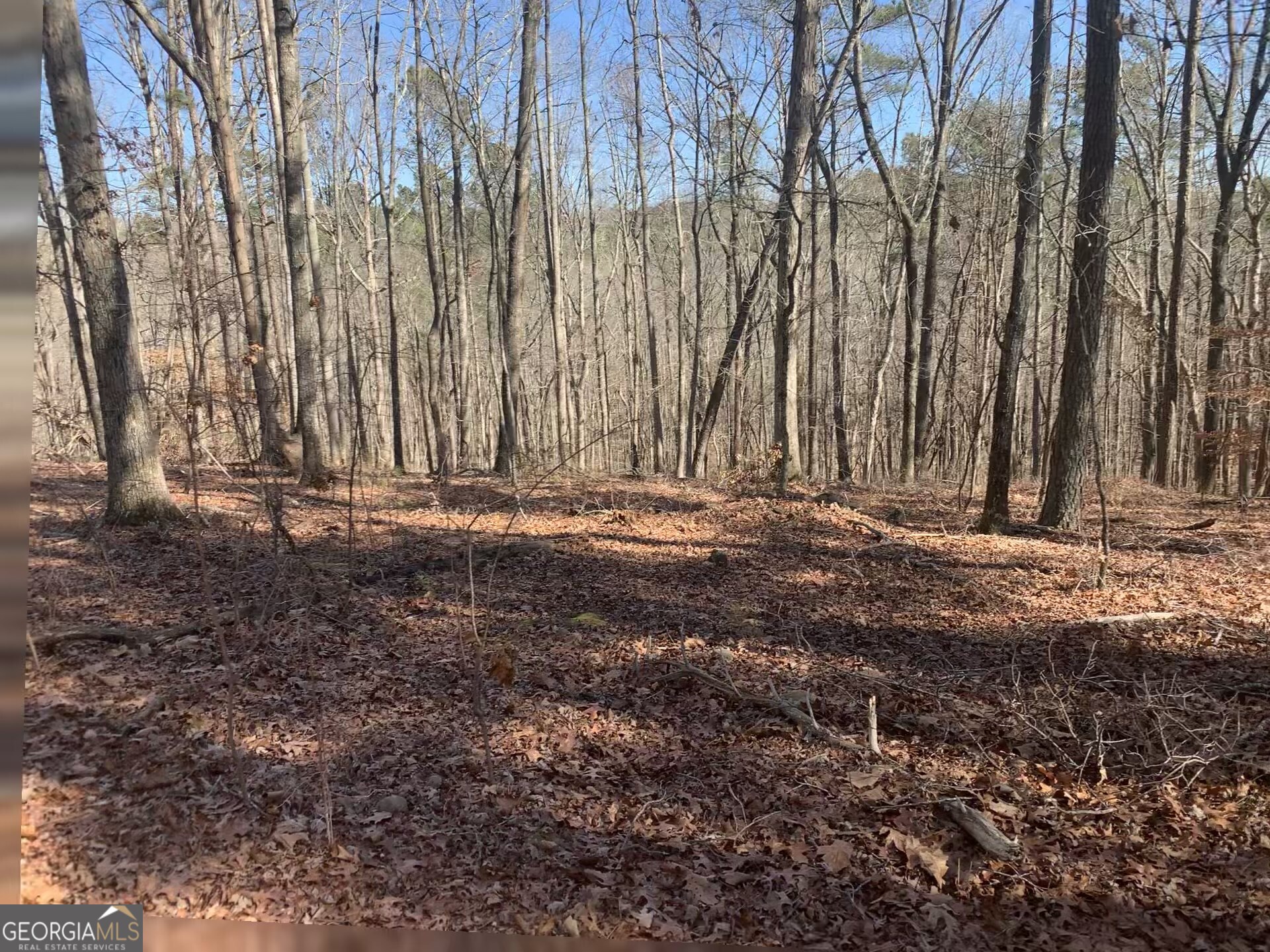 0 Bill Smith Drive Canton GA 30114