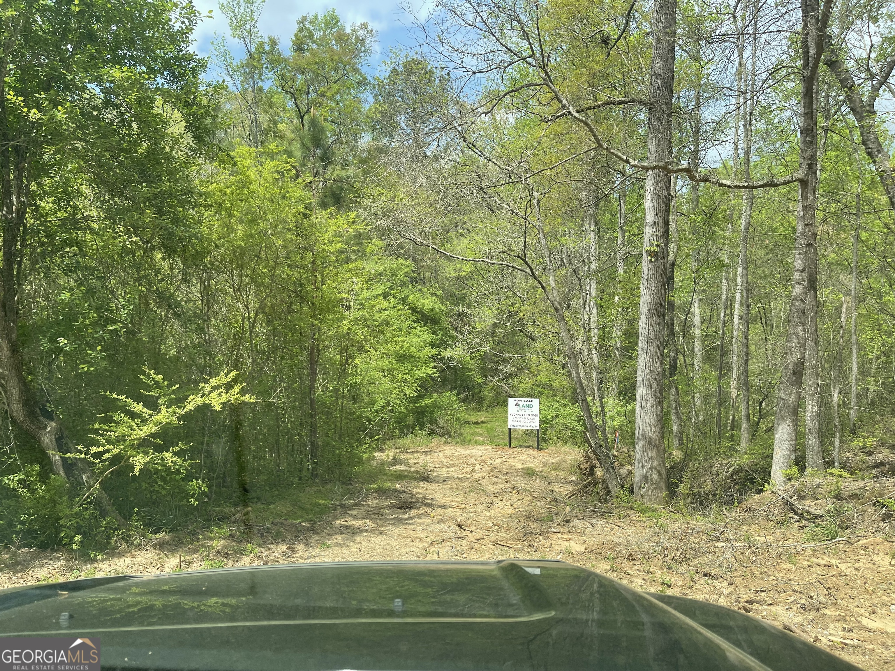 0 Bill Smith Drive Canton GA 30114