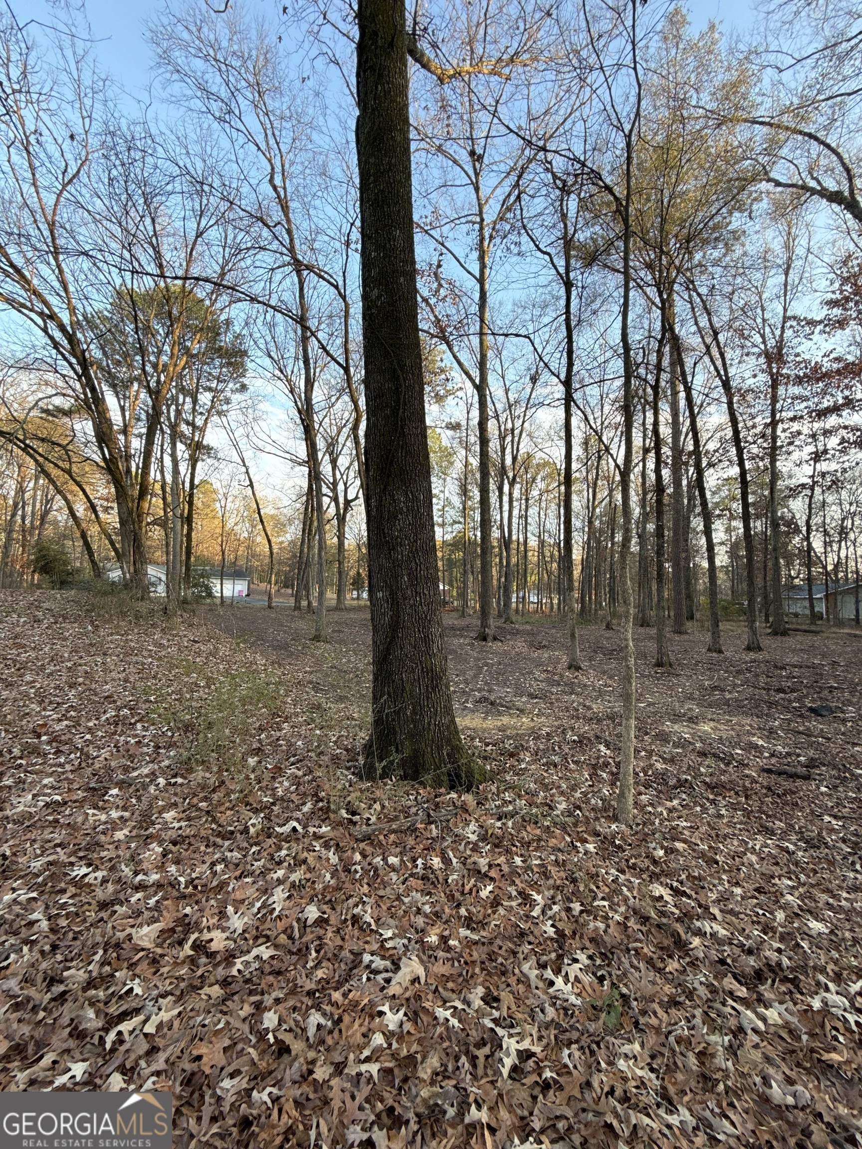 0 Deer Park Lane Calhoun GA 30701
