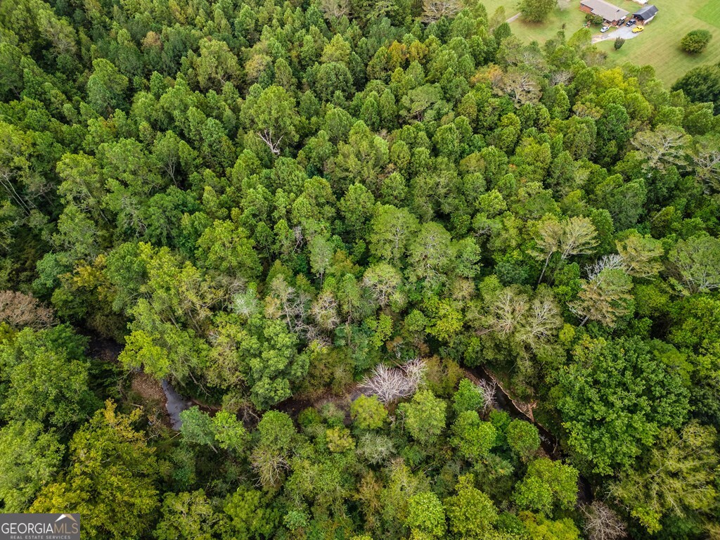 3.87AC Old Northcutt Road Ellijay GA 30540