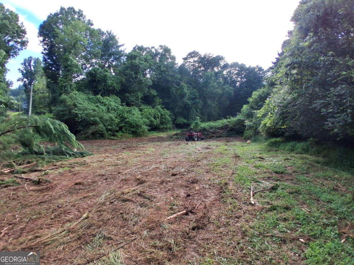 0 Blackberry Mountain Road Ellijay GA 30536