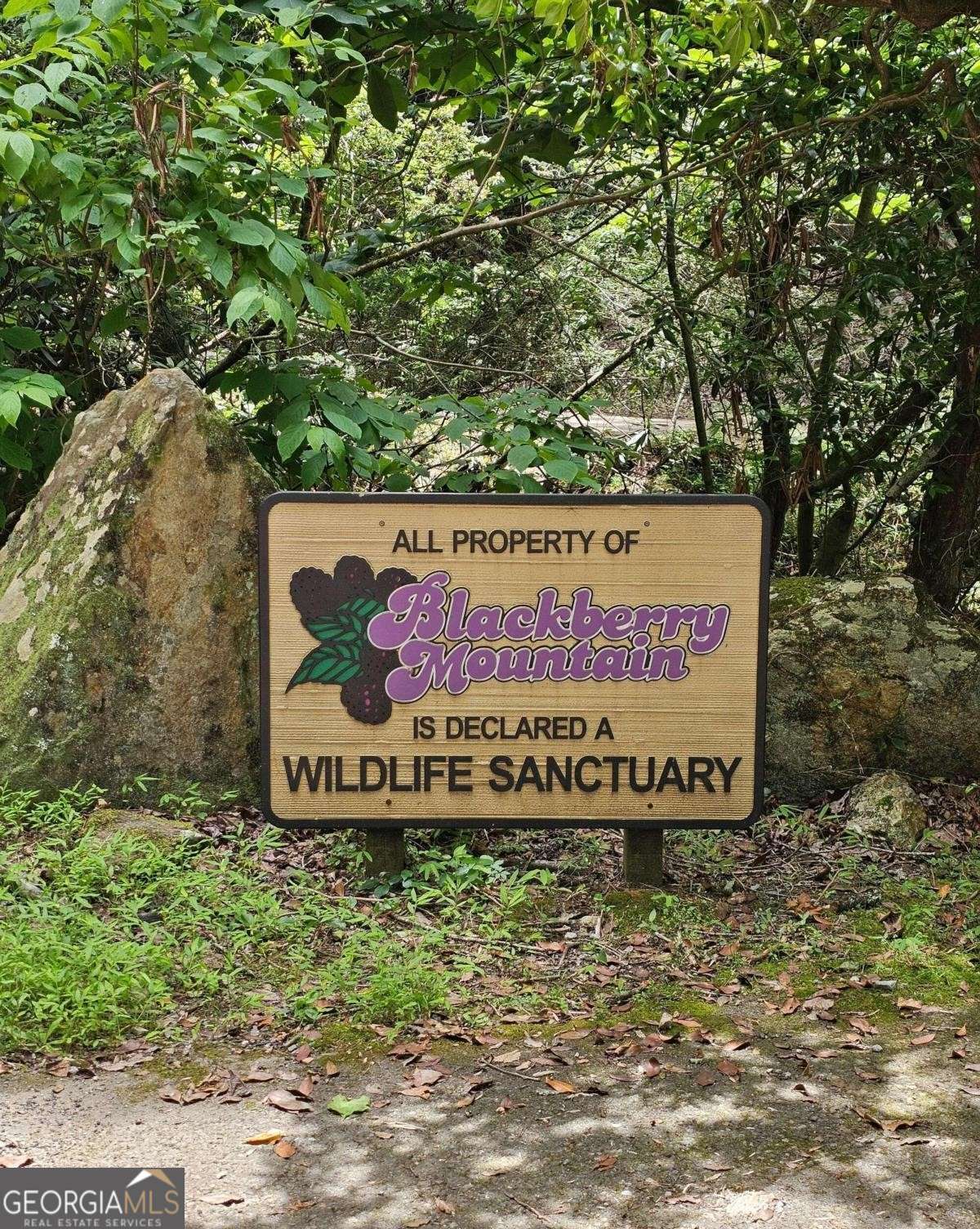 0 Blackberry Mountain Road Ellijay GA 30536