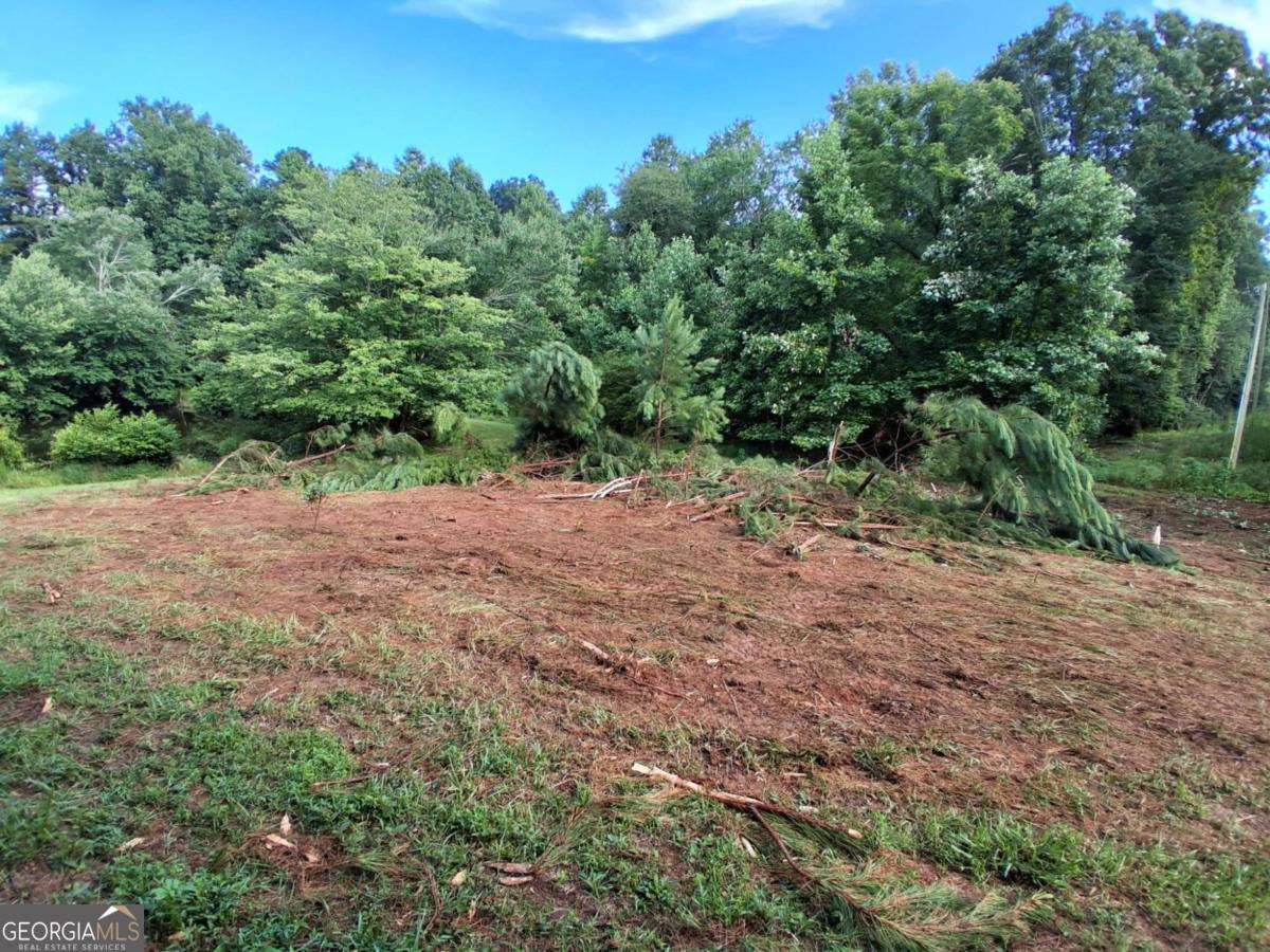0 Blackberry Mountain Road Ellijay GA 30536