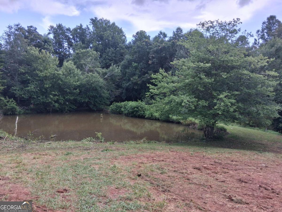 0 Blackberry Mountain Road Ellijay GA 30536