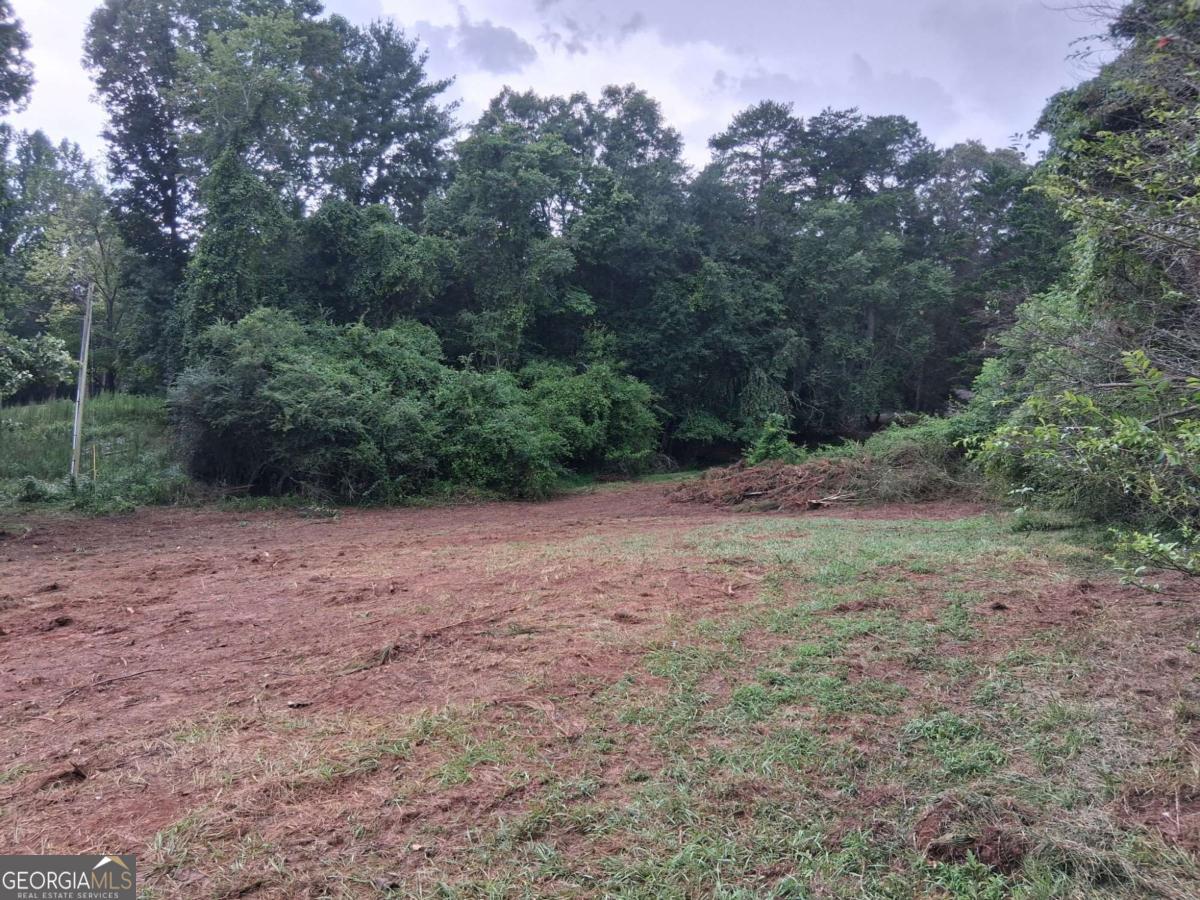 0 Blackberry Mountain Road Ellijay GA 30536