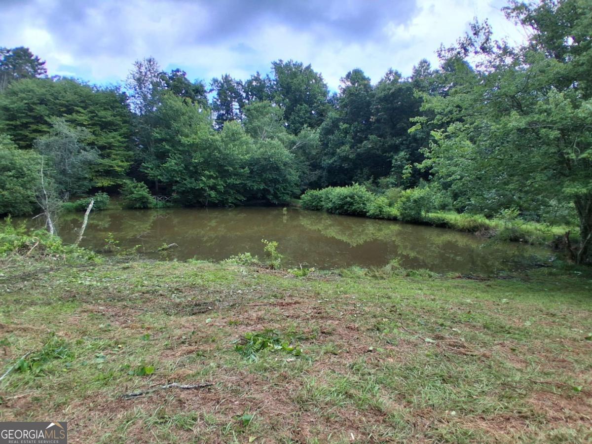 0 Blackberry Mountain Road Ellijay GA 30536