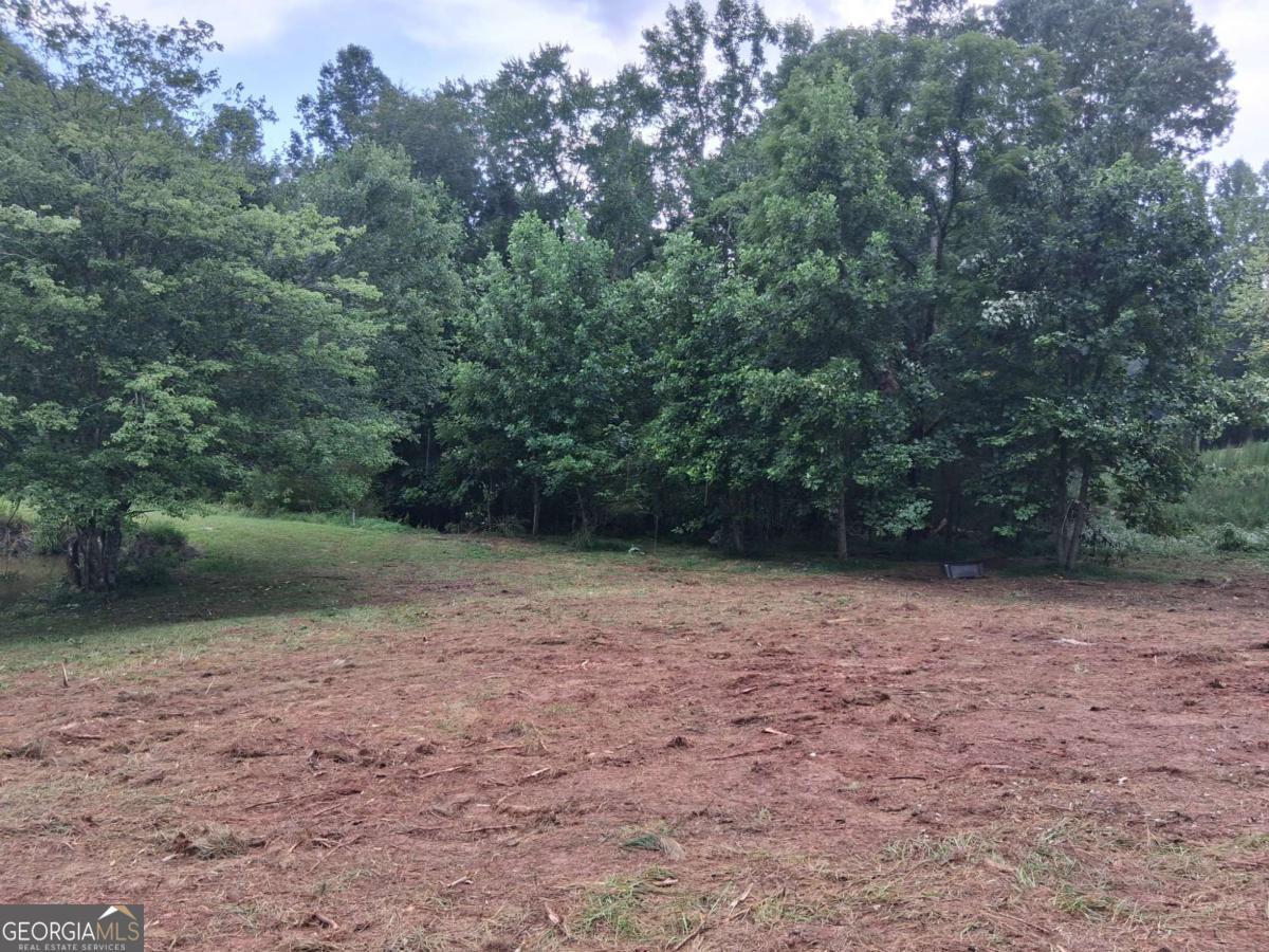 0 Blackberry Mountain Road Ellijay GA 30536